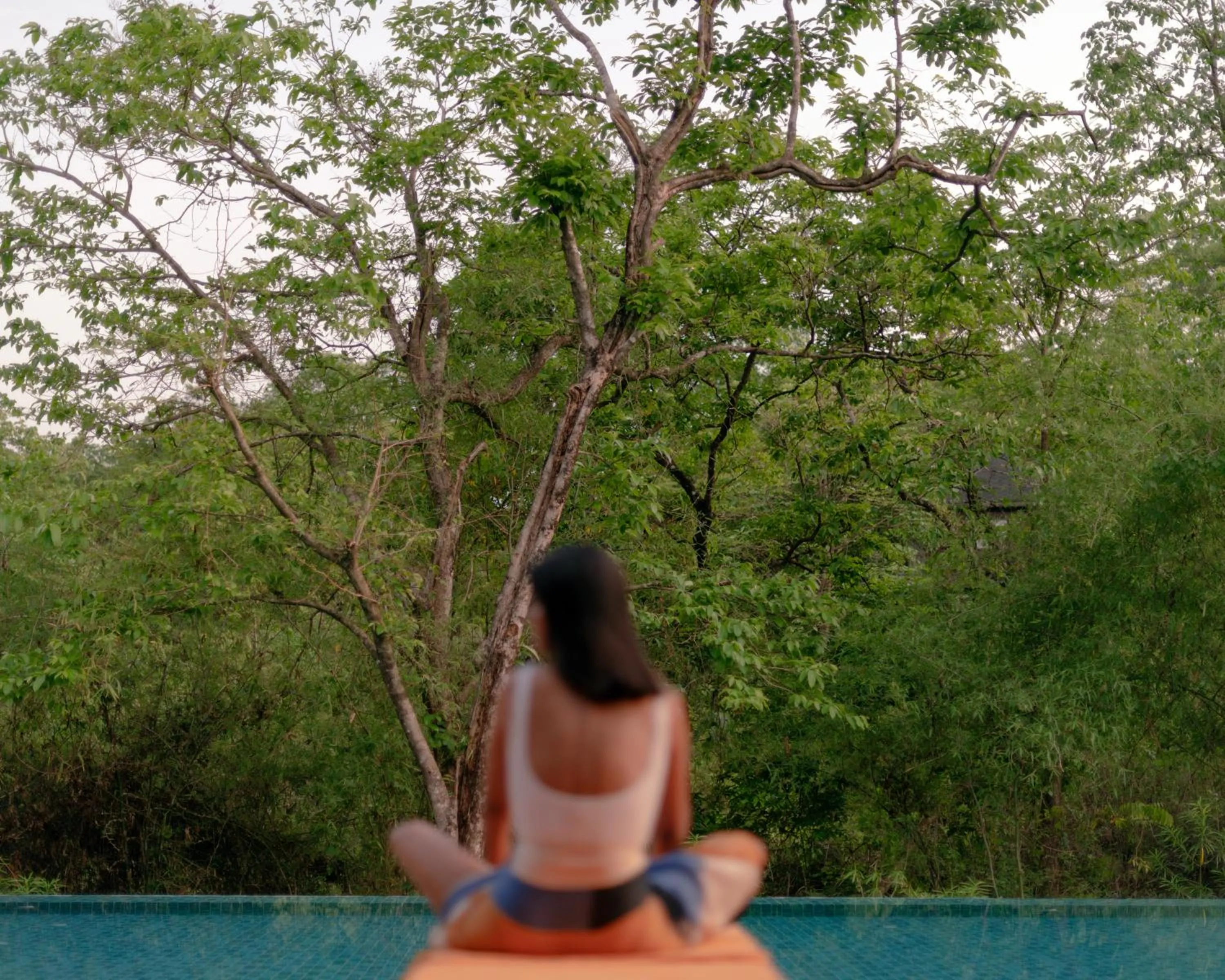 Natural landscape in The Postcard Hideaway, Netravali Wildlife Sanctuary, Goa