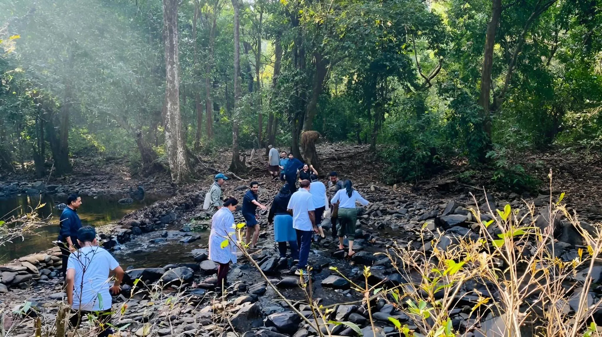 Natural landscape in The Postcard Hideaway, Netravali Wildlife Sanctuary, Goa