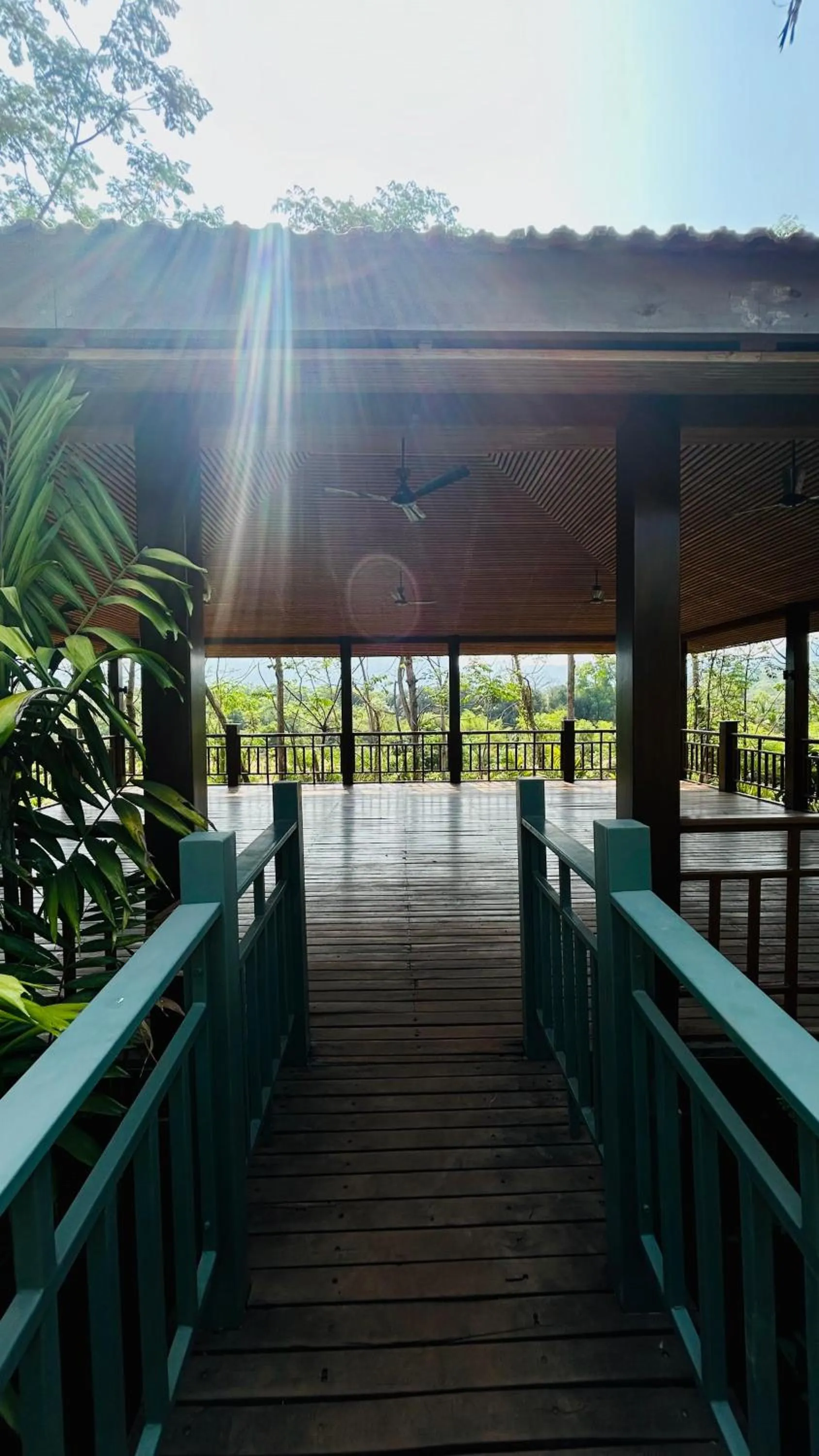 Decorative detail in The Postcard Hideaway, Netravali Wildlife Sanctuary, Goa