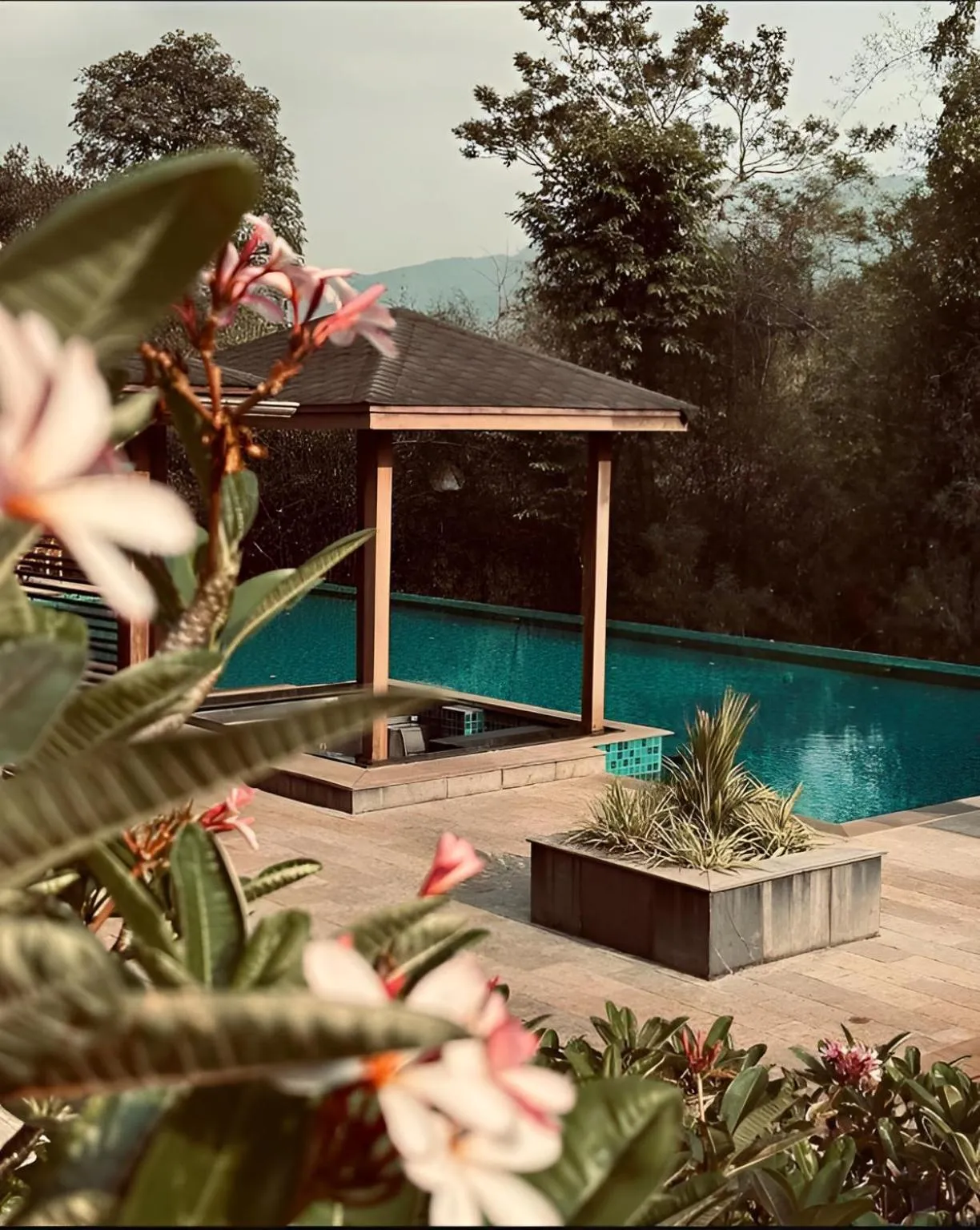 Swimming pool in The Postcard Hideaway, Netravali Wildlife Sanctuary, Goa