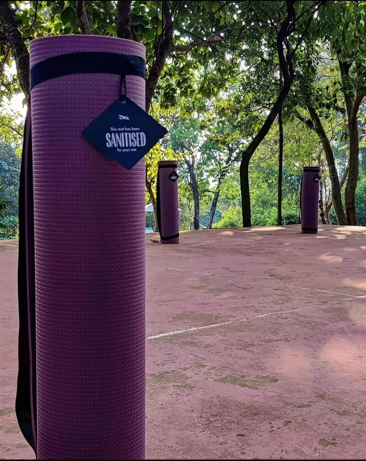 Activities in The Postcard Hideaway, Netravali Wildlife Sanctuary, Goa