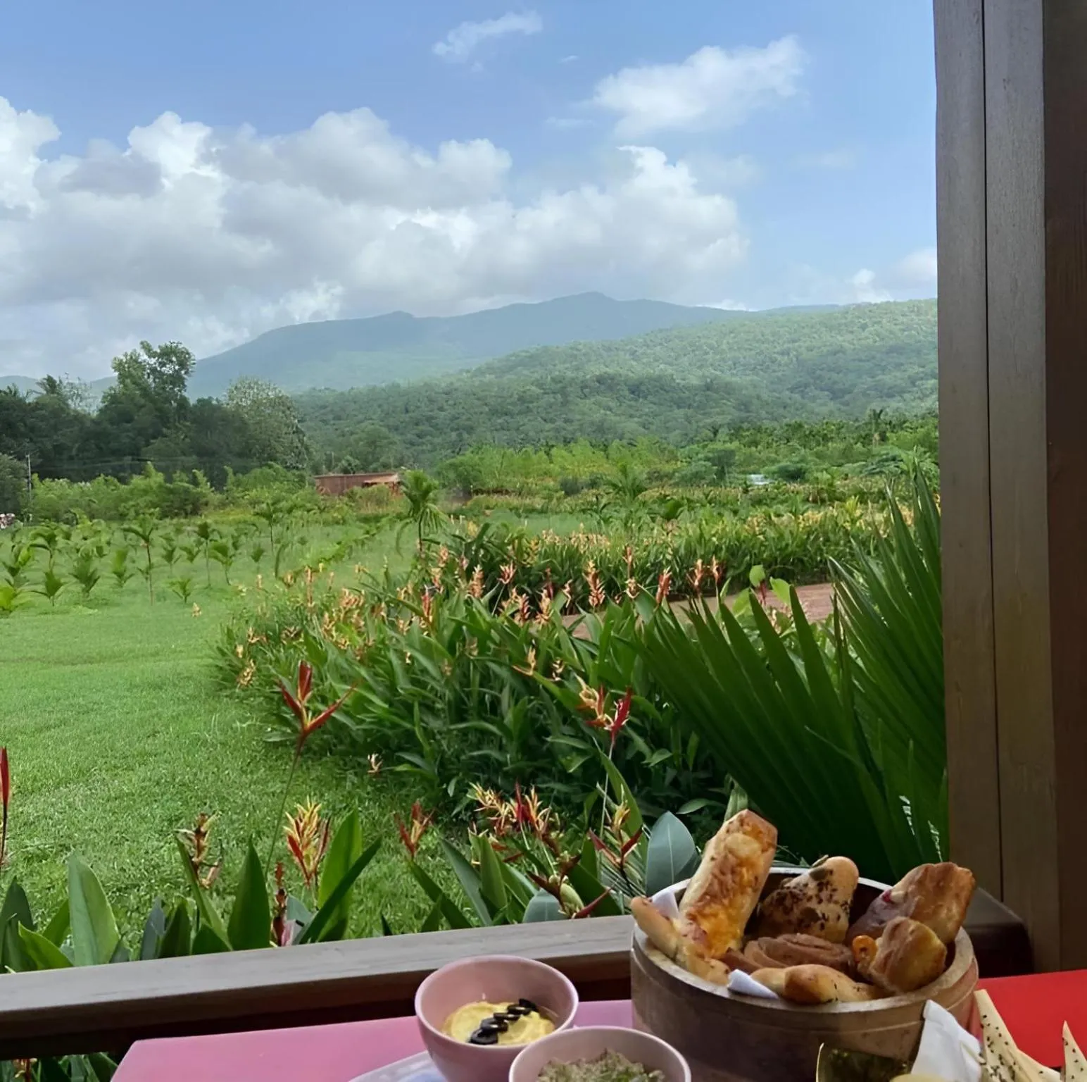 Natural landscape in The Postcard Hideaway, Netravali Wildlife Sanctuary, Goa