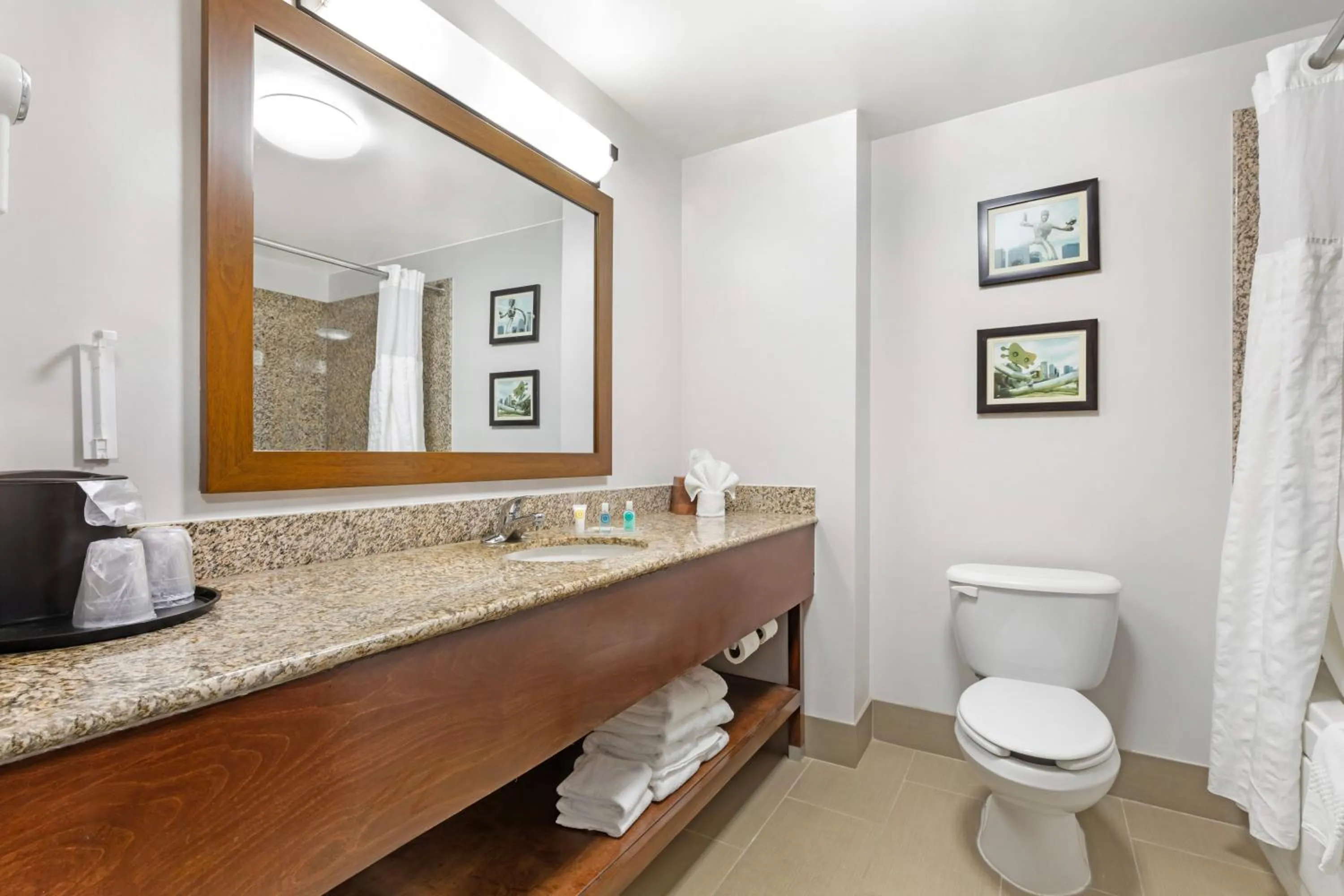 Comfort Suites DFW N-Grapevine