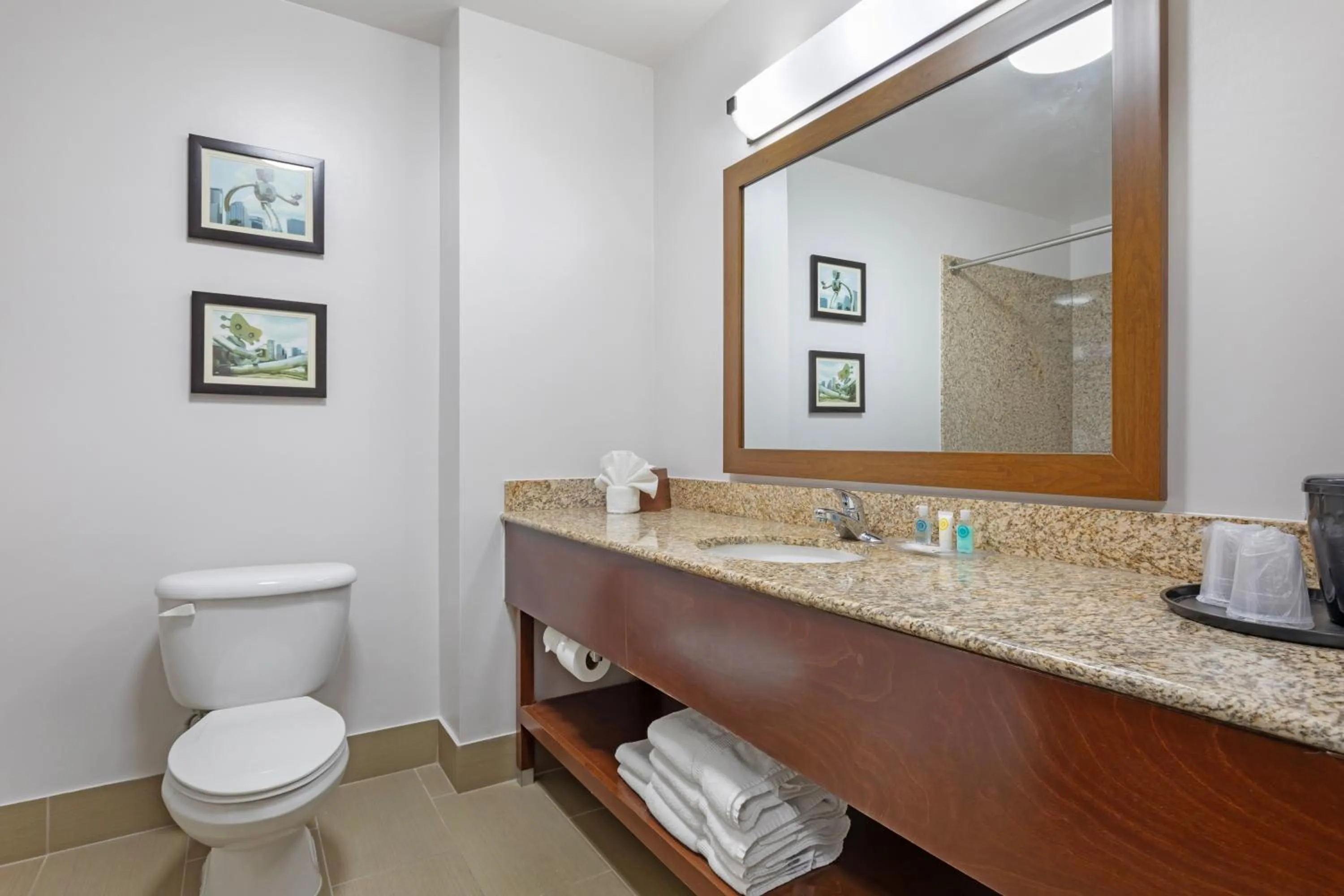 Comfort Suites DFW N-Grapevine