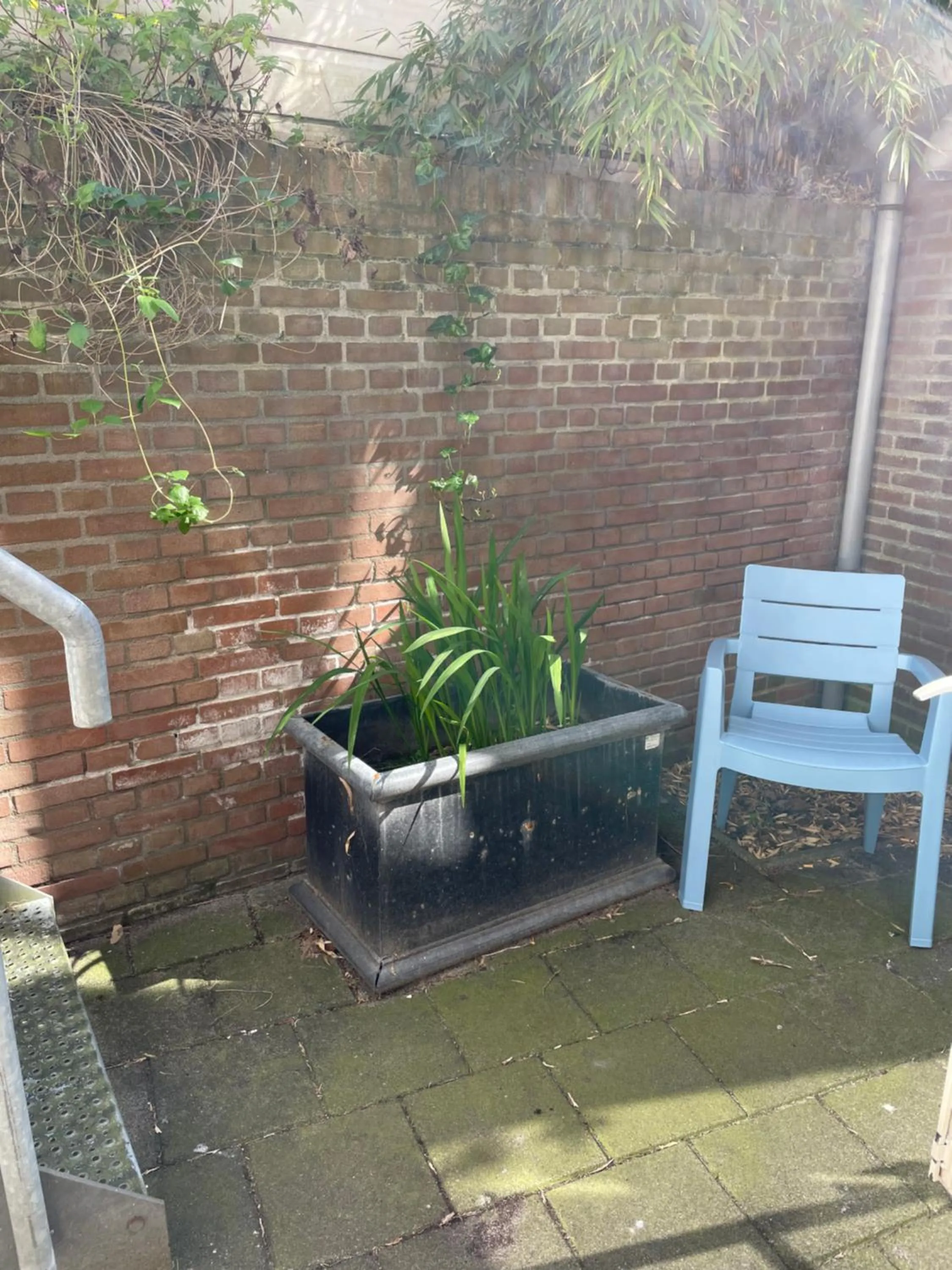 Patio in Plato by Hofstad Studio’s