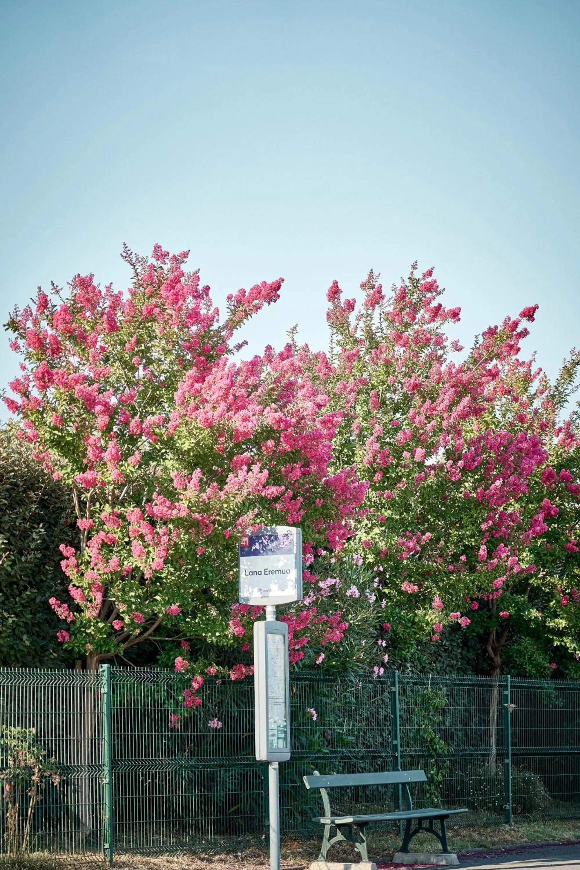 Day in Hotel Donibane Saint-Jean-de-Luz