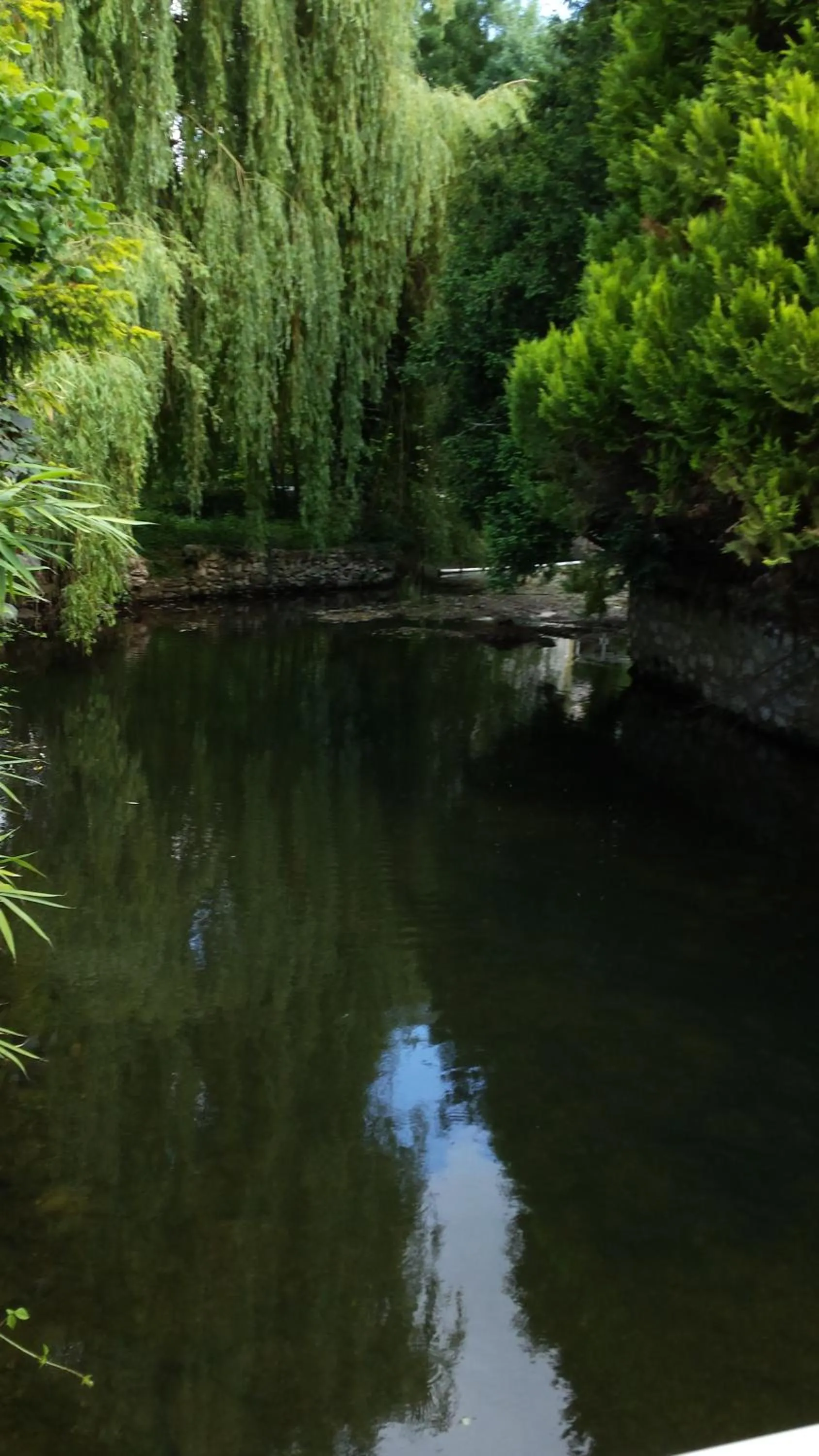 Natural landscape in Hotel Le Rivage