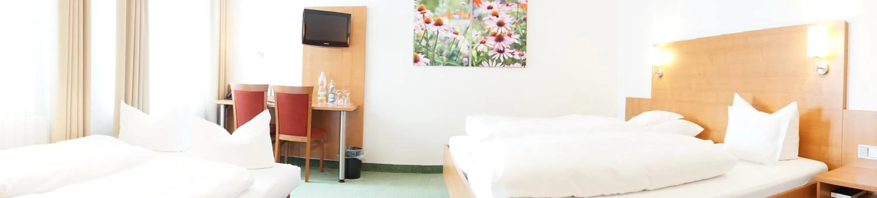 TV and multimedia, Bed in Hotel-Restaurant Roter Ochsen