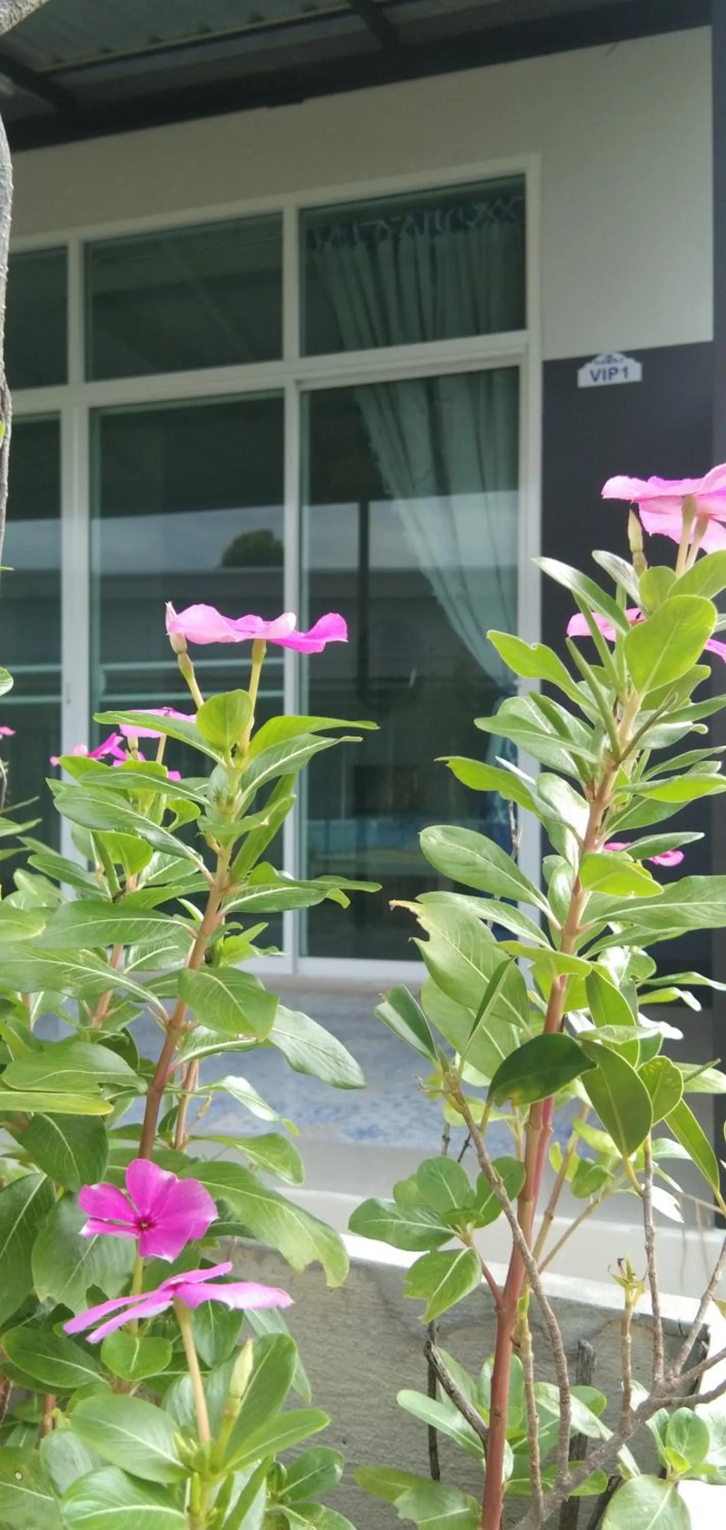 Patio in Cessna Park Resort and Hotel