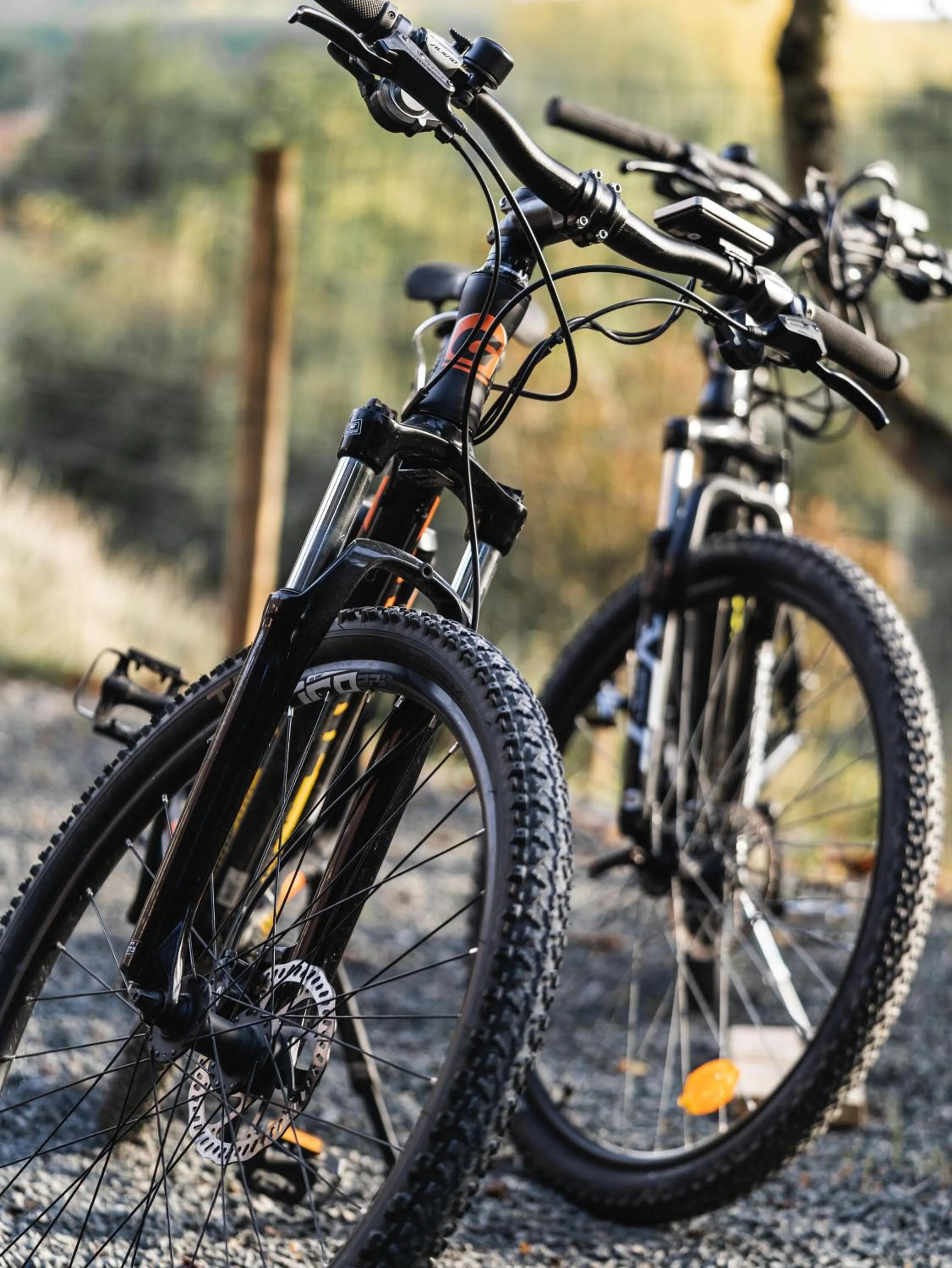 La Maison au Bord du Lac