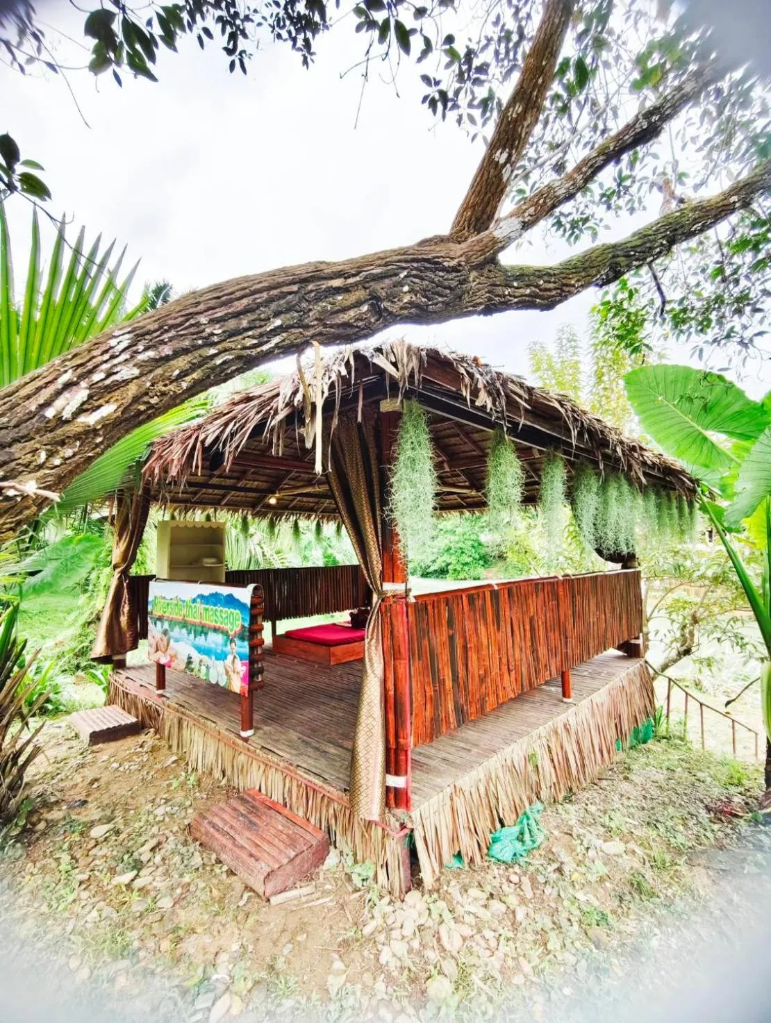 Khao Sok River & Jungle Resort
