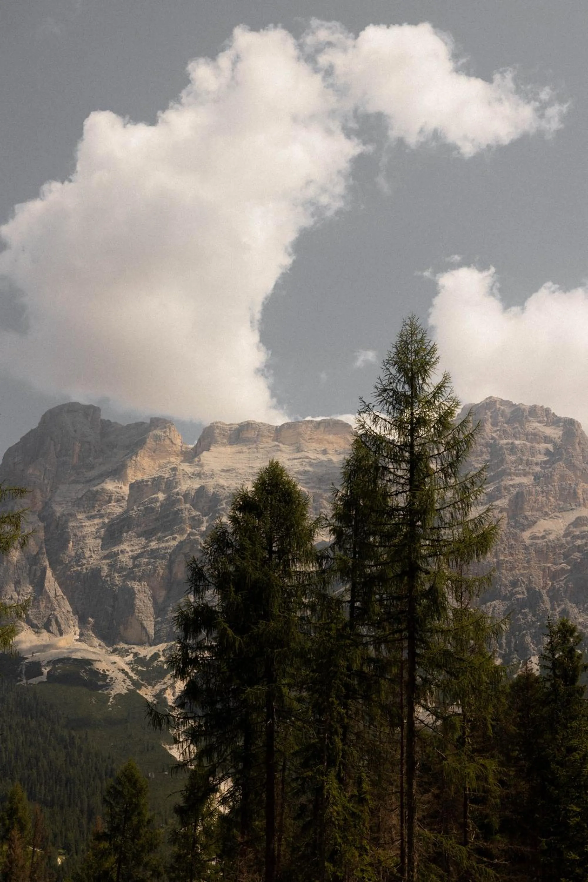 Sportony Mountain Lodges