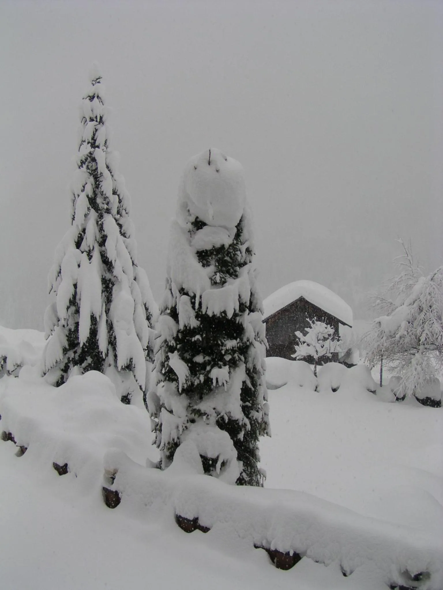 Area and facilities in Apartments Residence Alta Badia