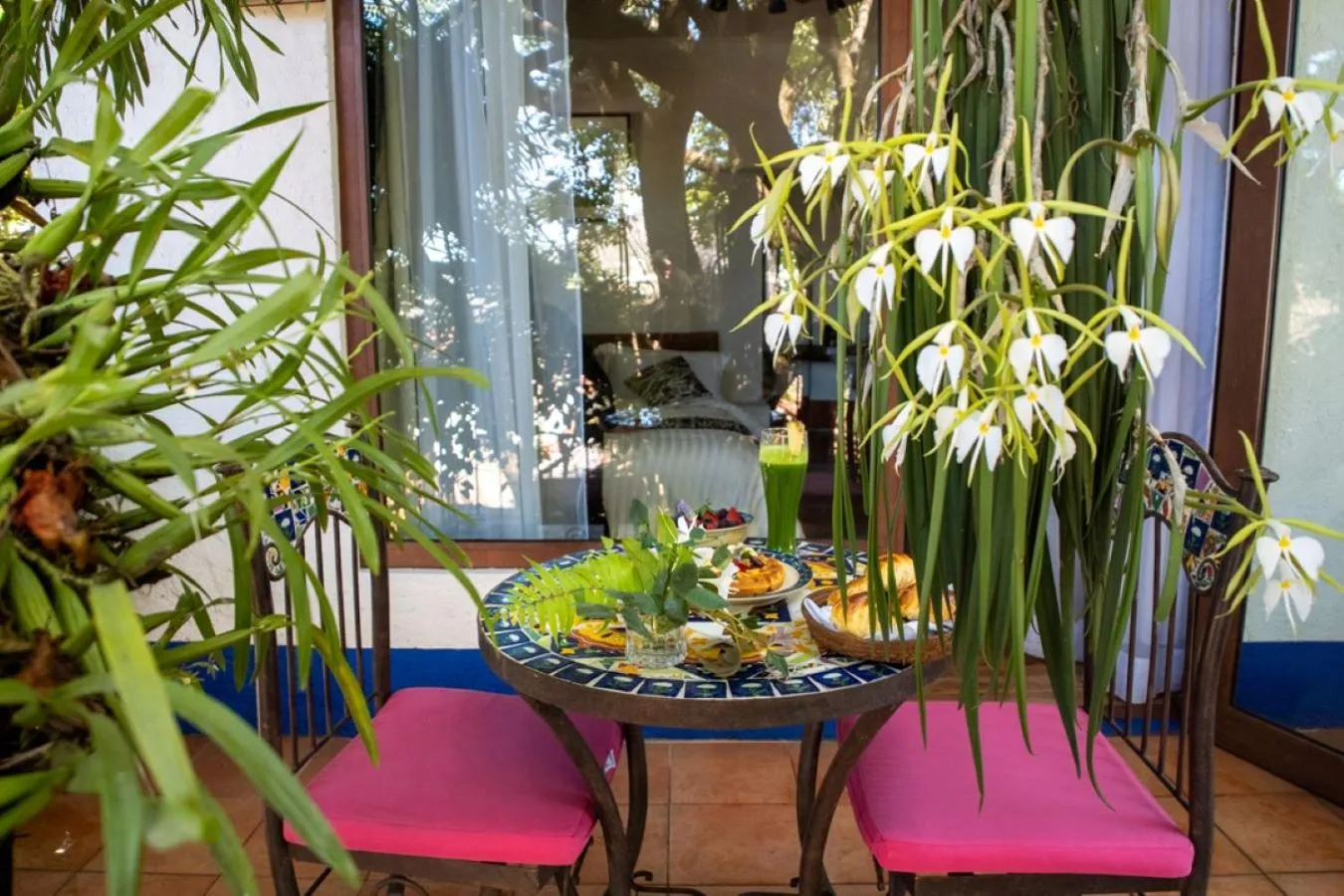 Spring in Mesón De Leyendas Breakfast & Downtown