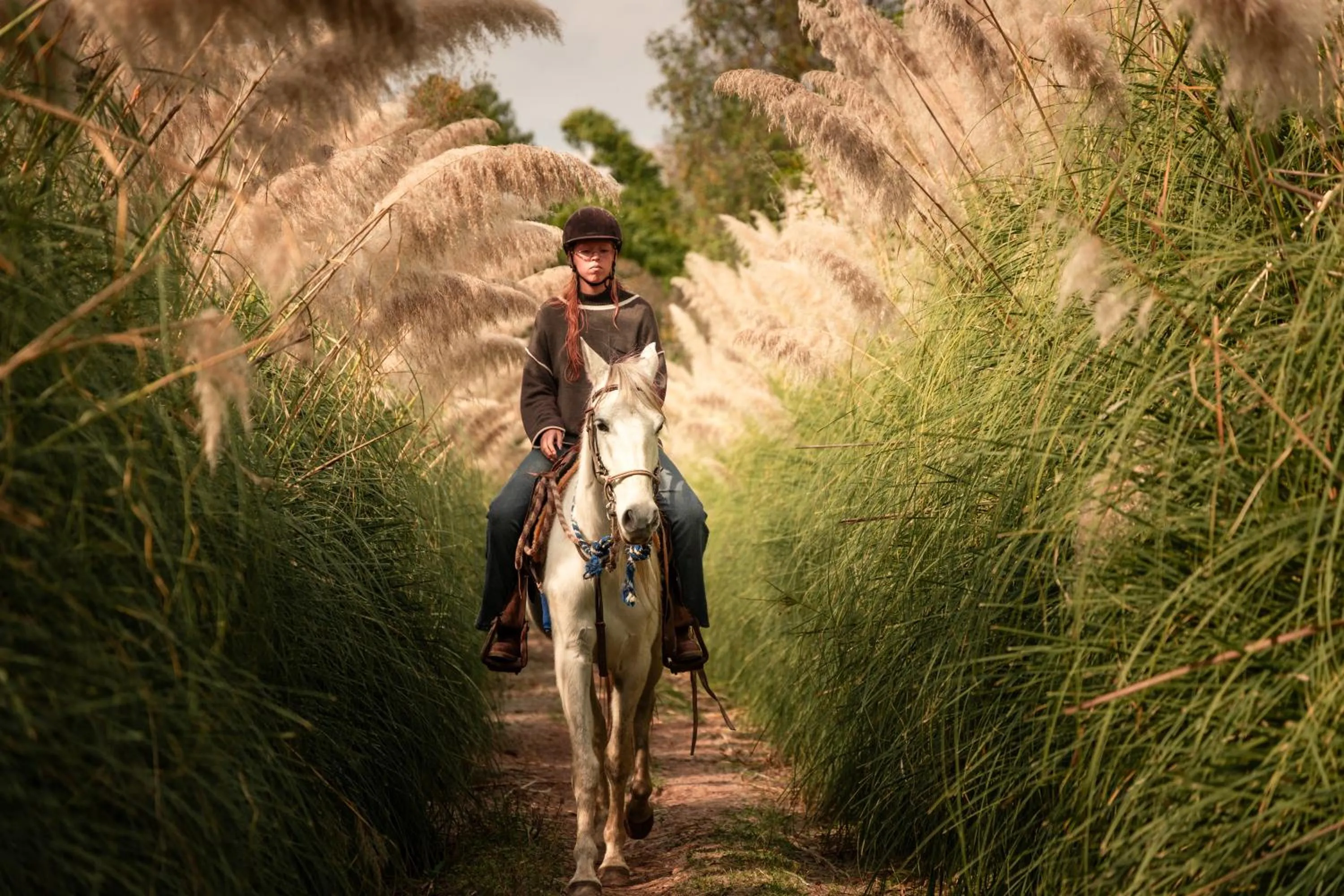 Horse-riding in Mesón De Leyendas Breakfast & Downtown