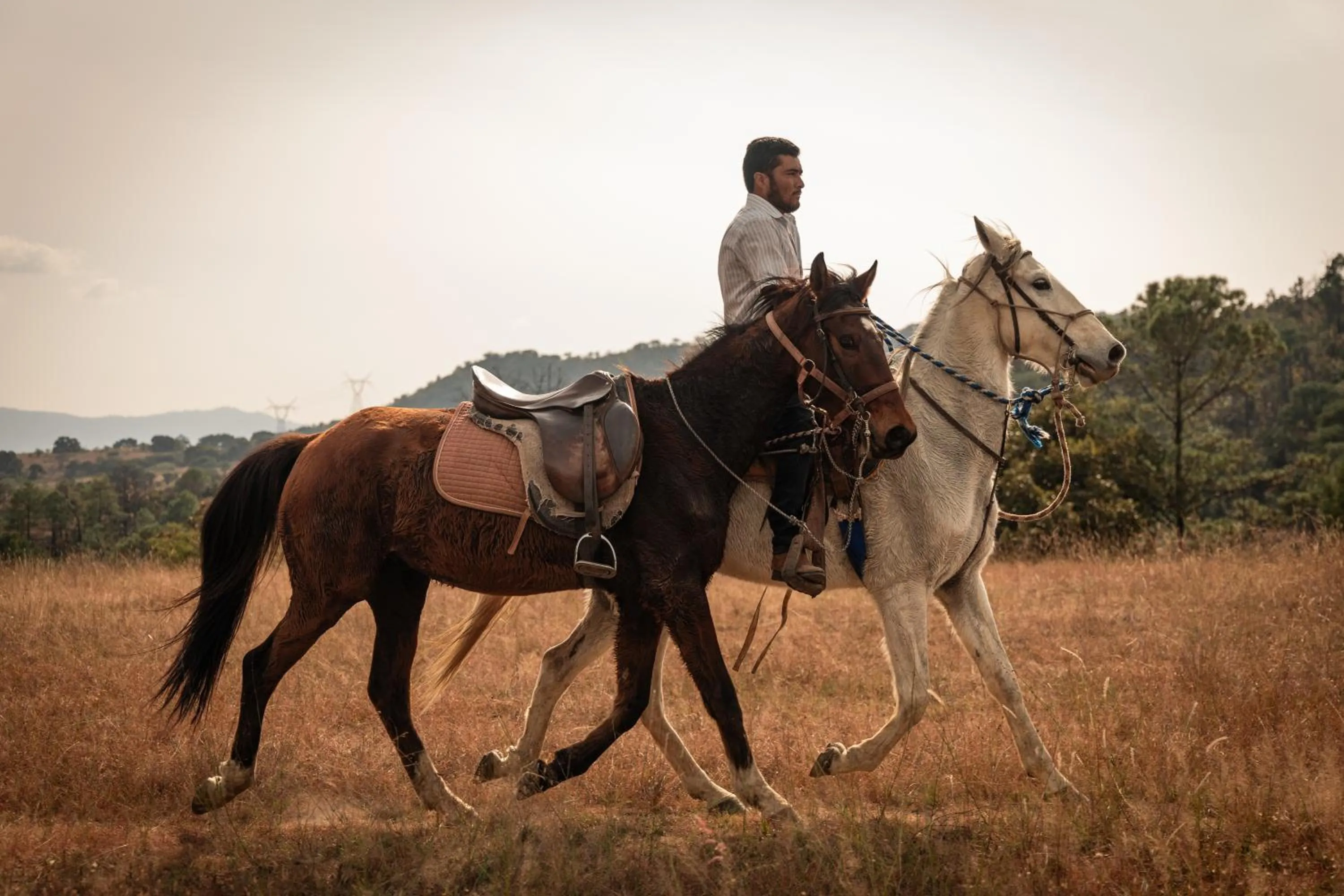 Horse-riding in Mesón De Leyendas Breakfast & Downtown