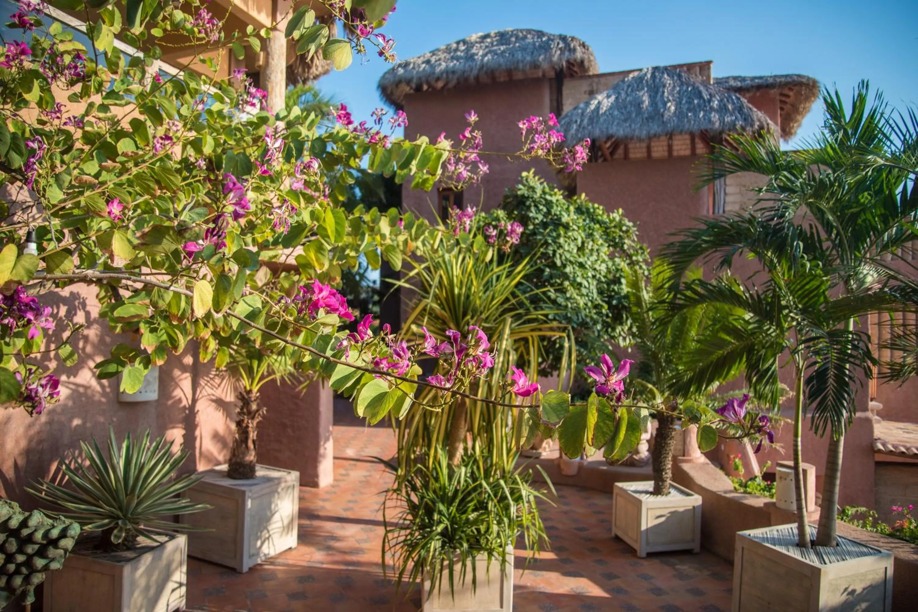 Garden in La Casa Que Canta