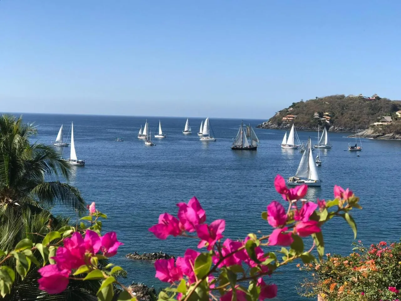 Balcony/Terrace in La Casa Que Canta