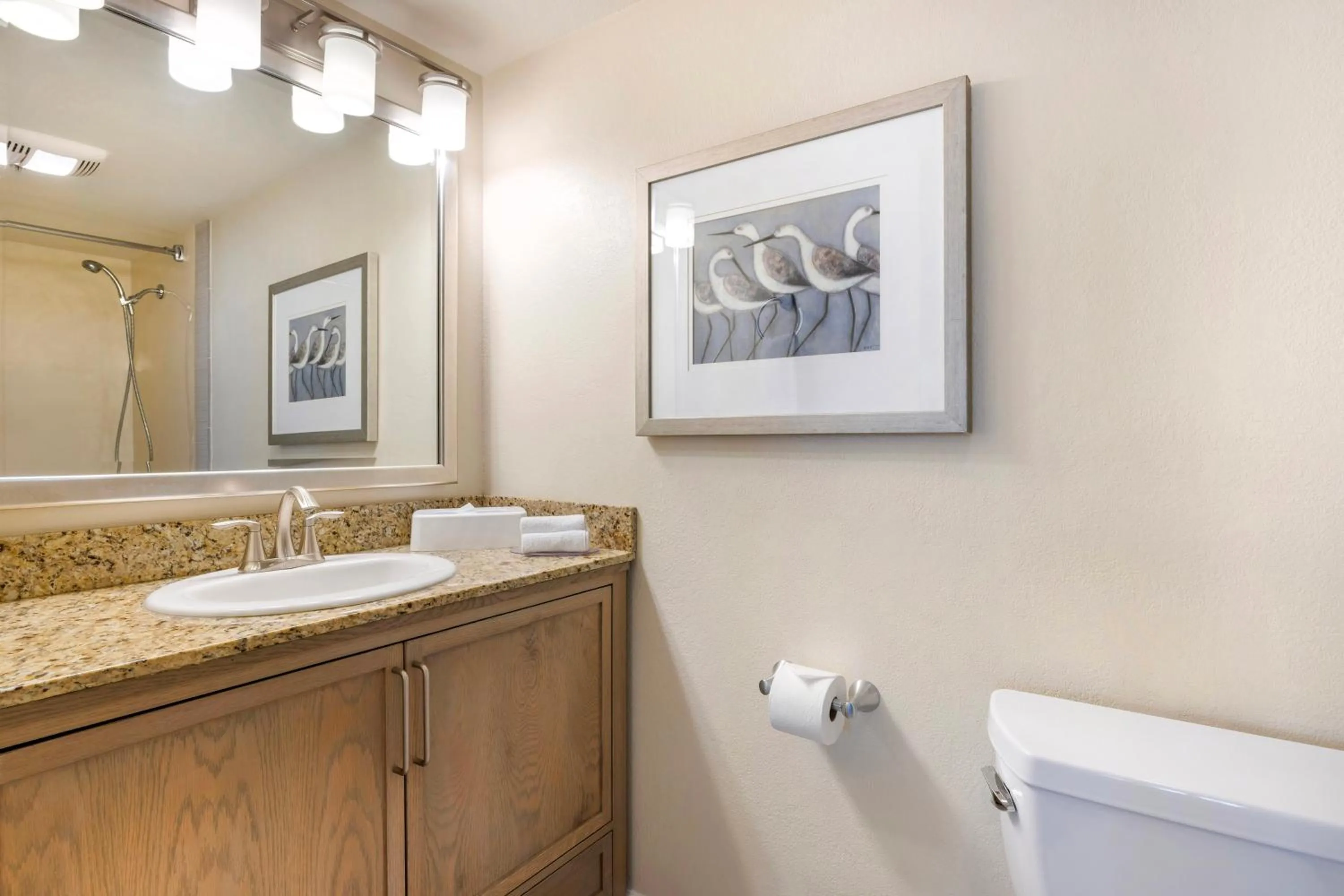 Bathroom in Hilton Vacation Club Riviera Beach & Shores