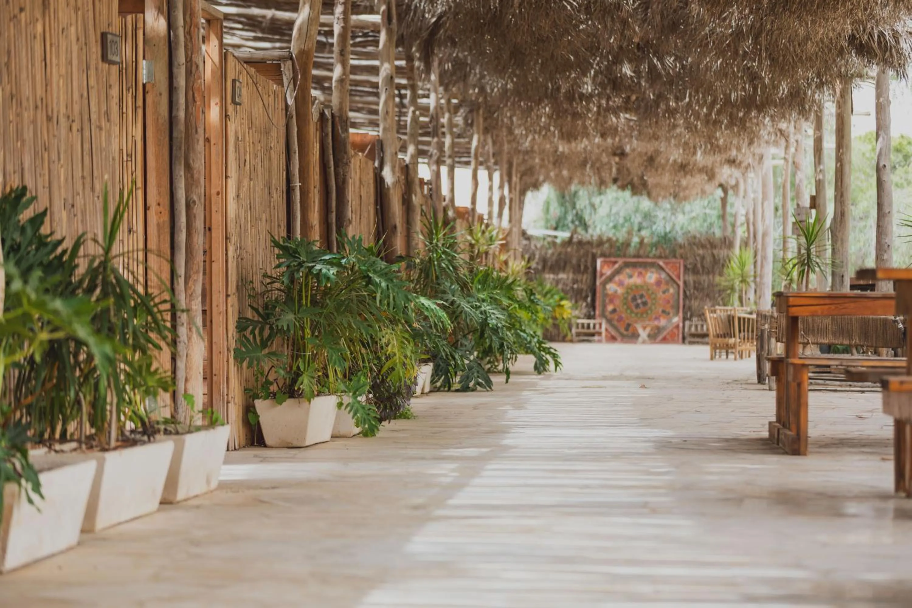 Garden in Jacob Mitzpe Ramon