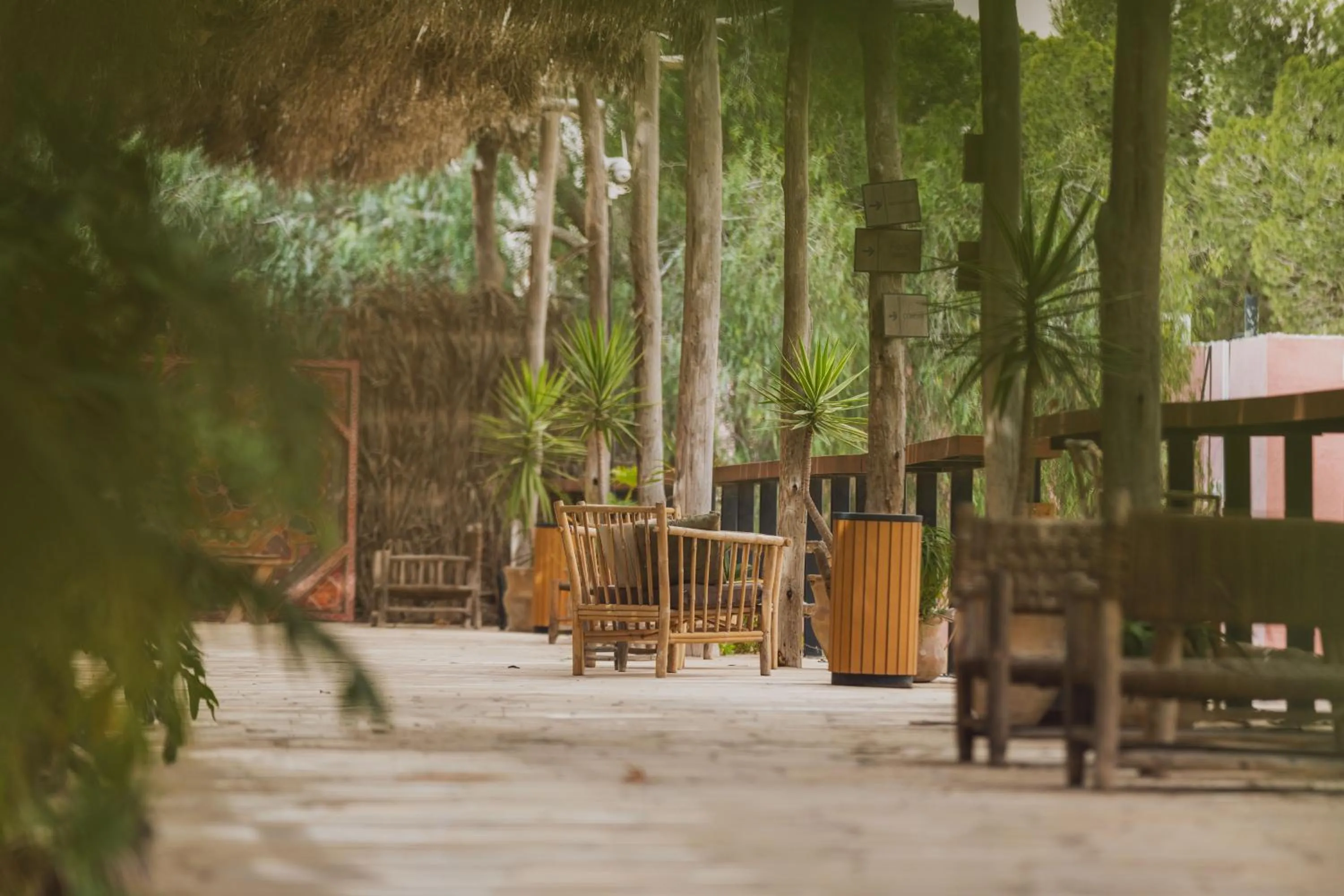 Garden in Jacob Mitzpe Ramon