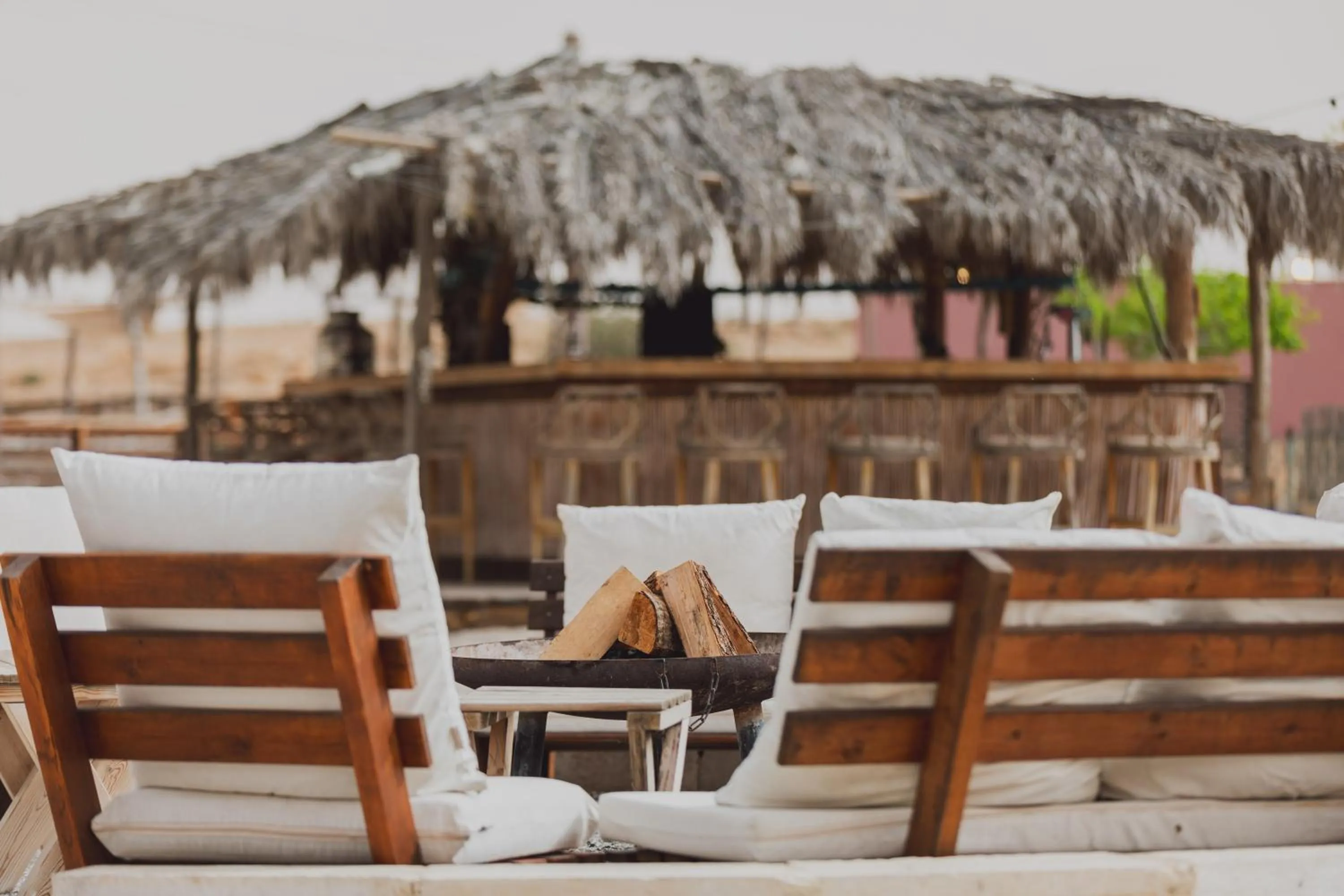Garden in Jacob Mitzpe Ramon