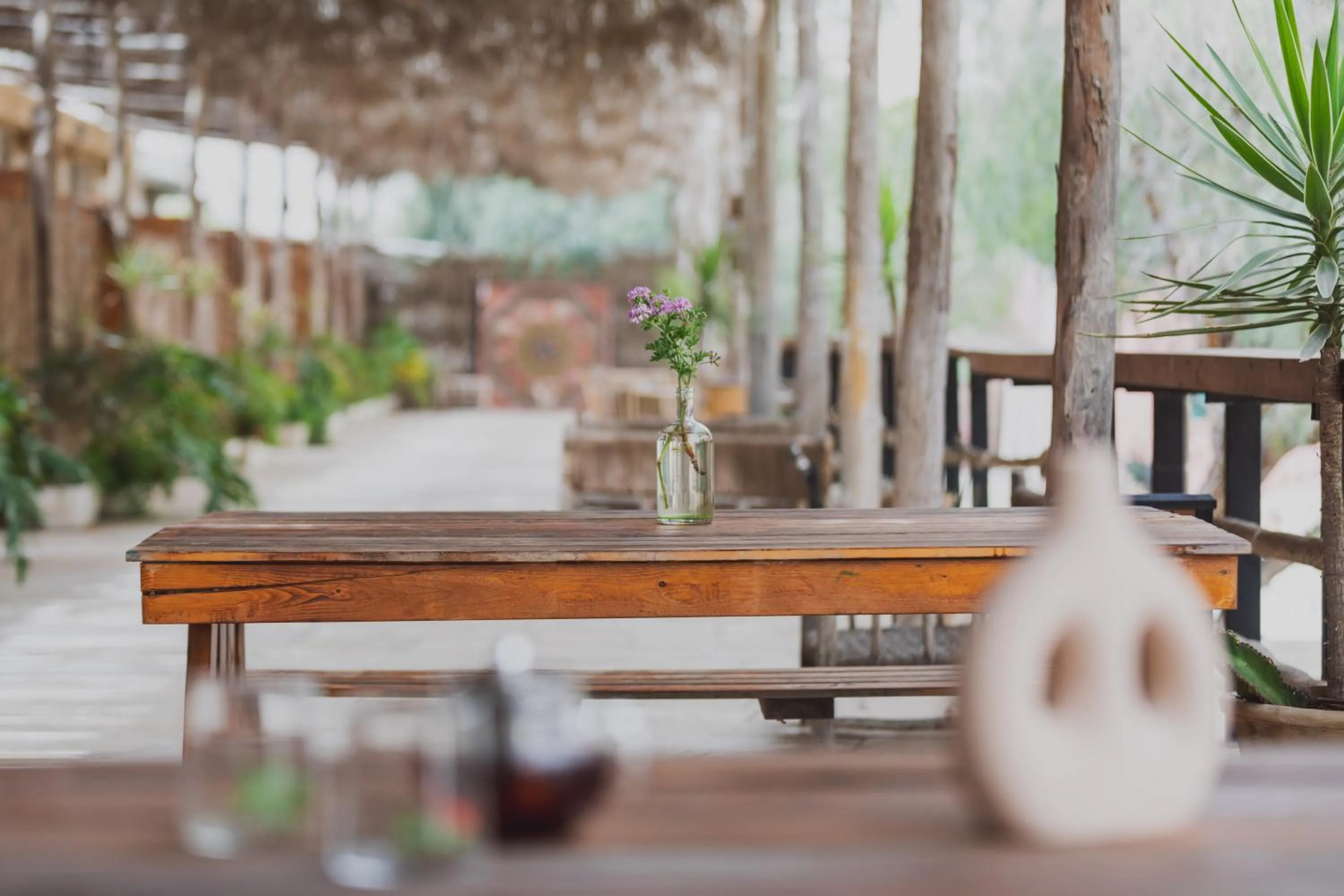 Seating area in Jacob Mitzpe Ramon