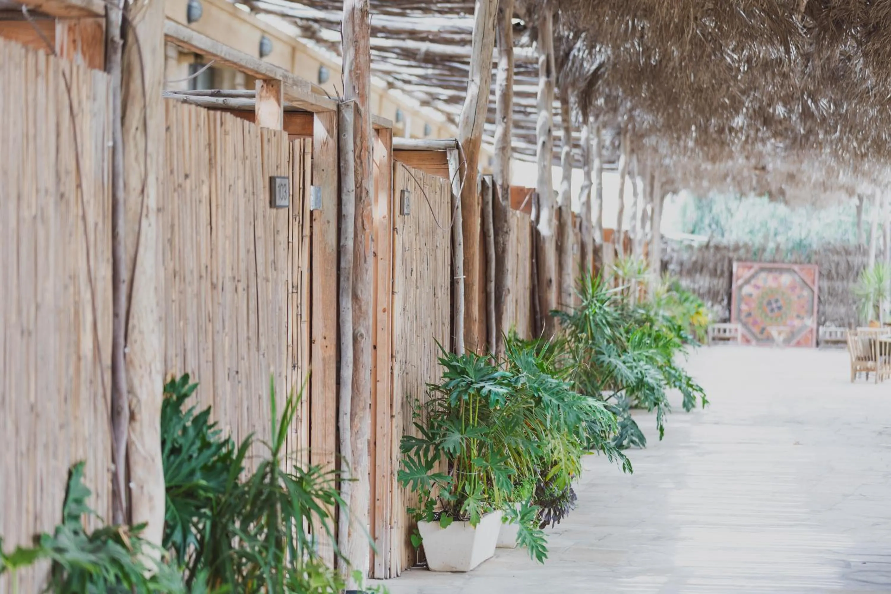 Garden in Jacob Mitzpe Ramon