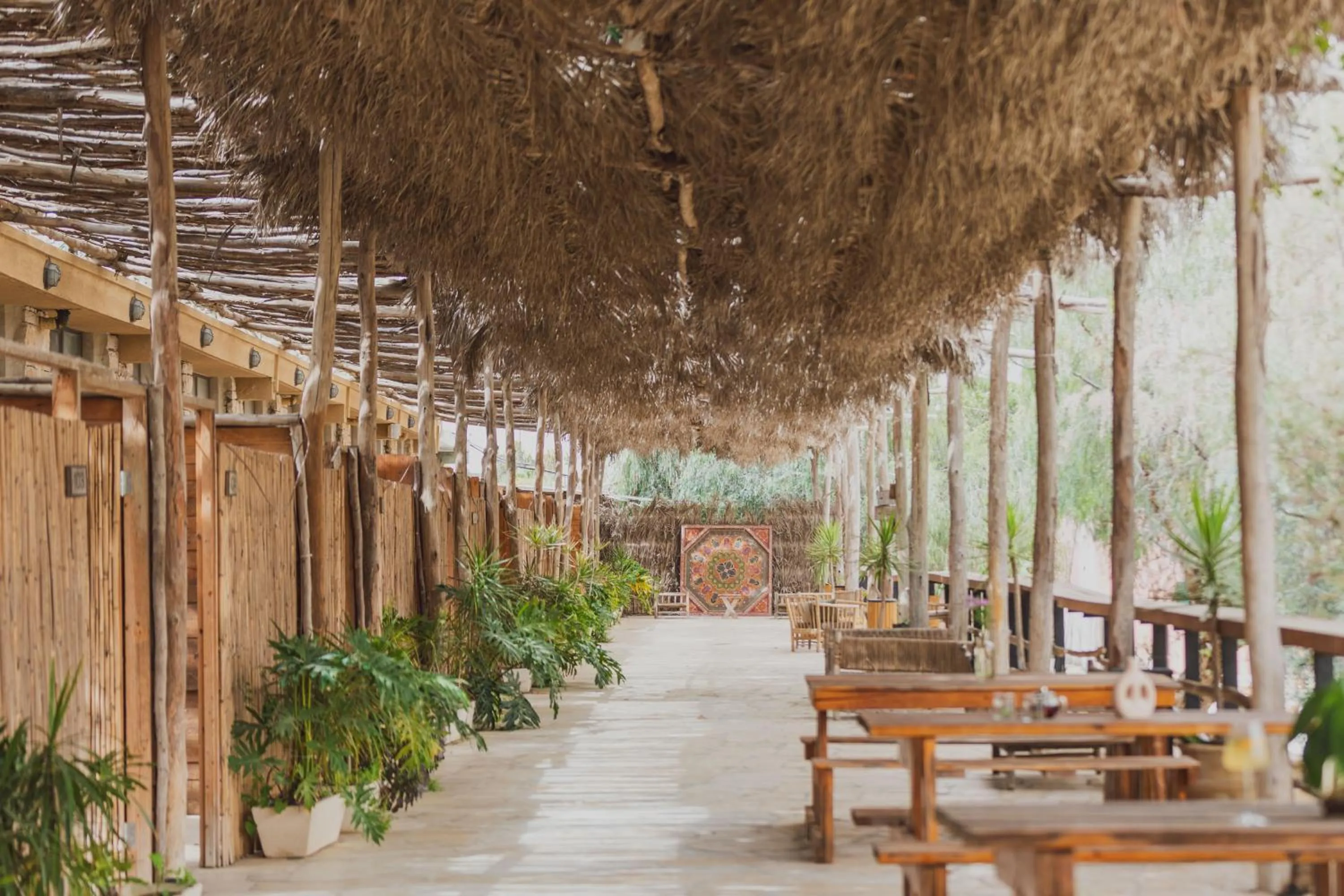 Garden in Jacob Mitzpe Ramon