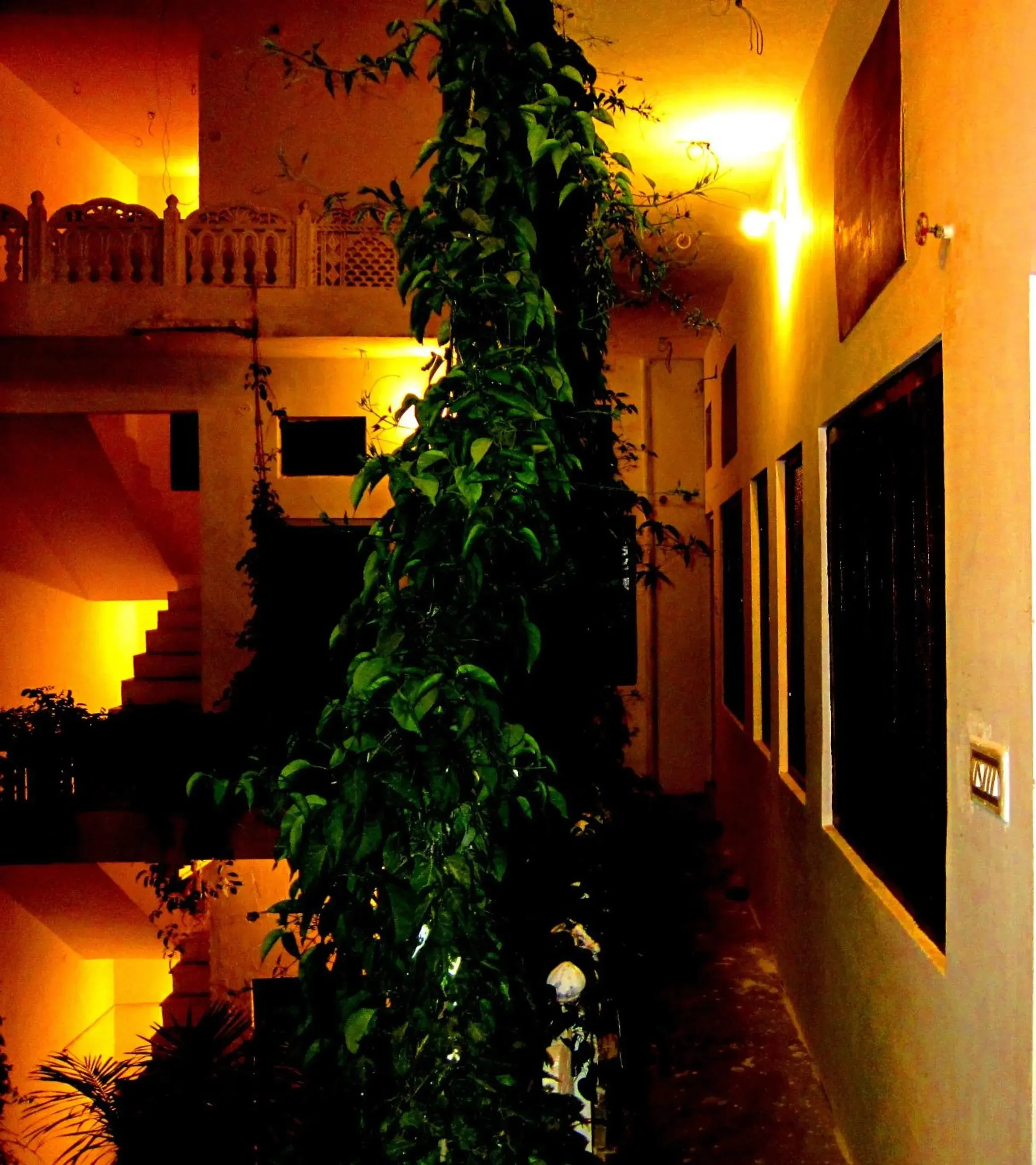 Basic Double Room in Atithi Guest House Pushkar Basic Double Room in Atithi Guest House Pushkar