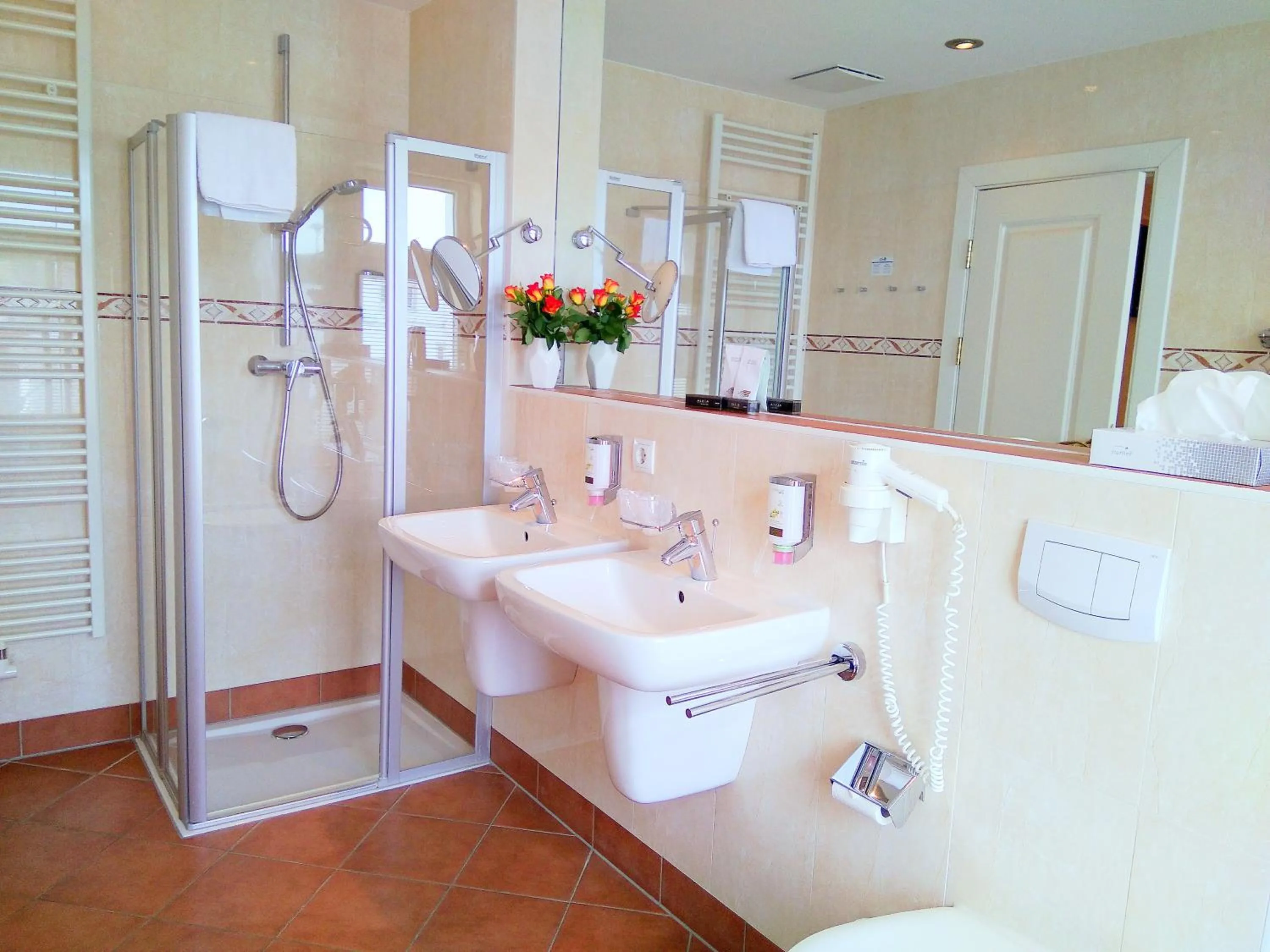 Shower in Alexa Hotel