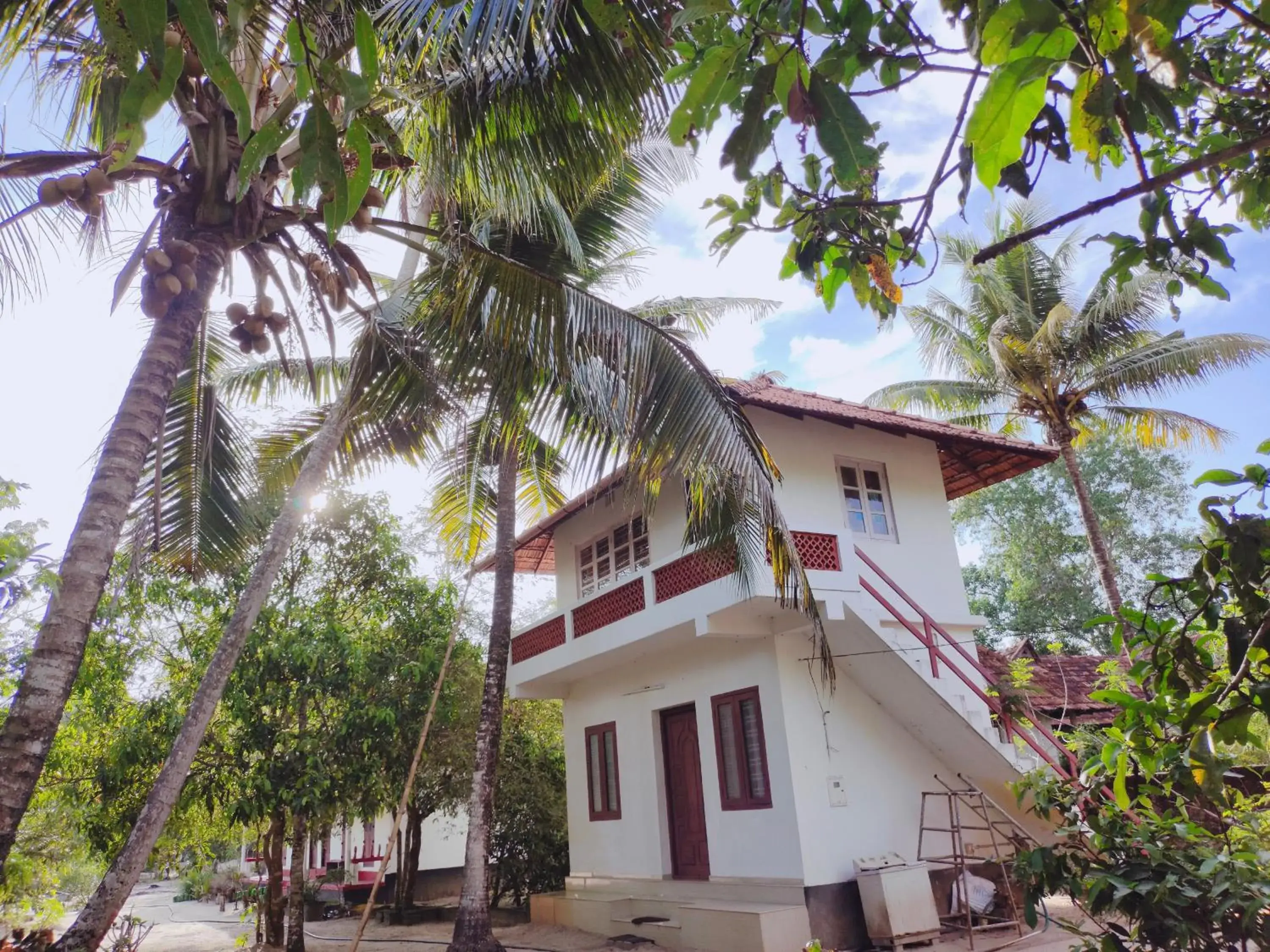 Standard Double Room in Achayans Homestay Mararikulam Standard Double Room in Achayans Homestay Mararikulam