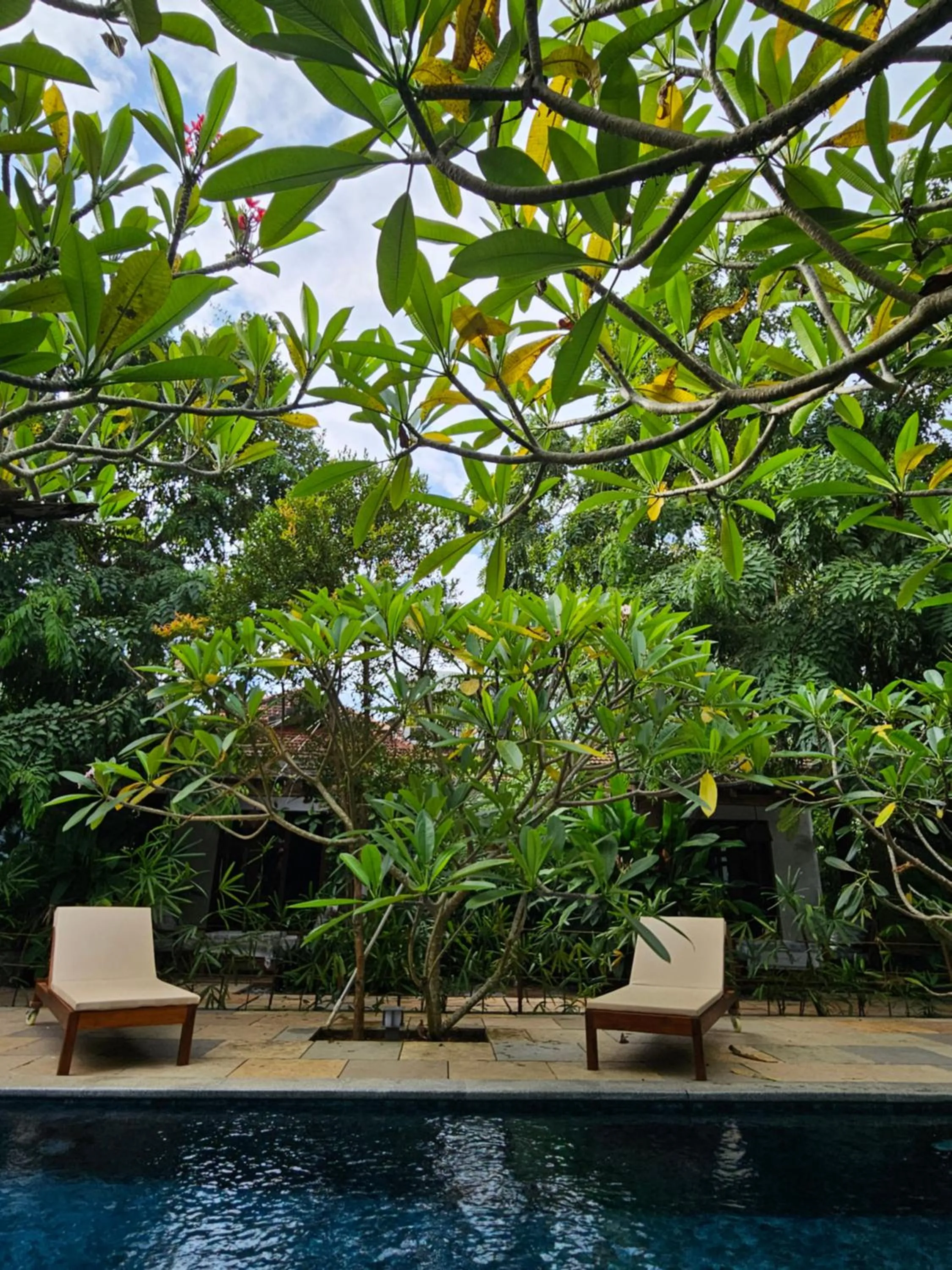 Swimming pool in Villa Akasa