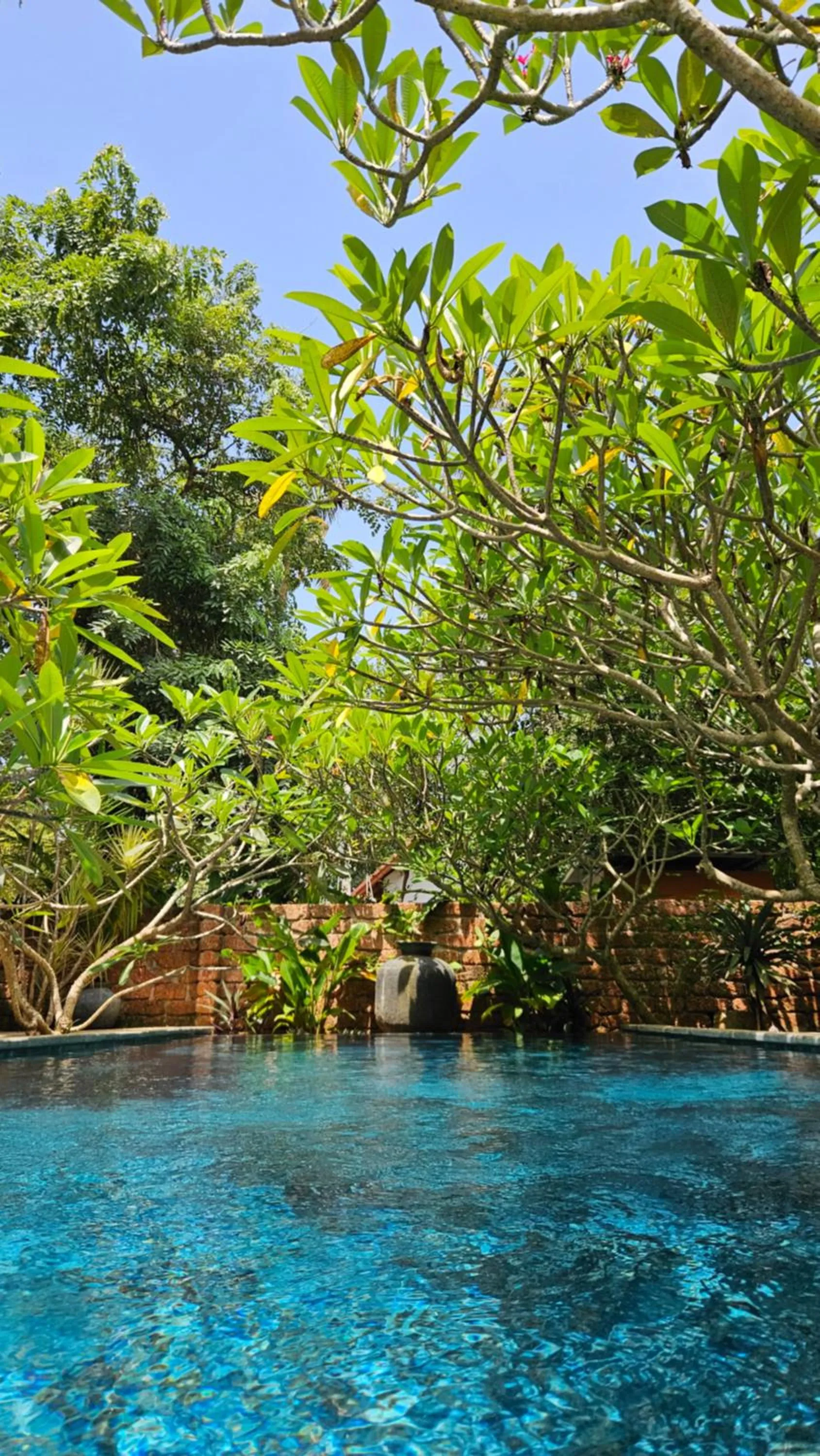 Swimming pool in Villa Akasa