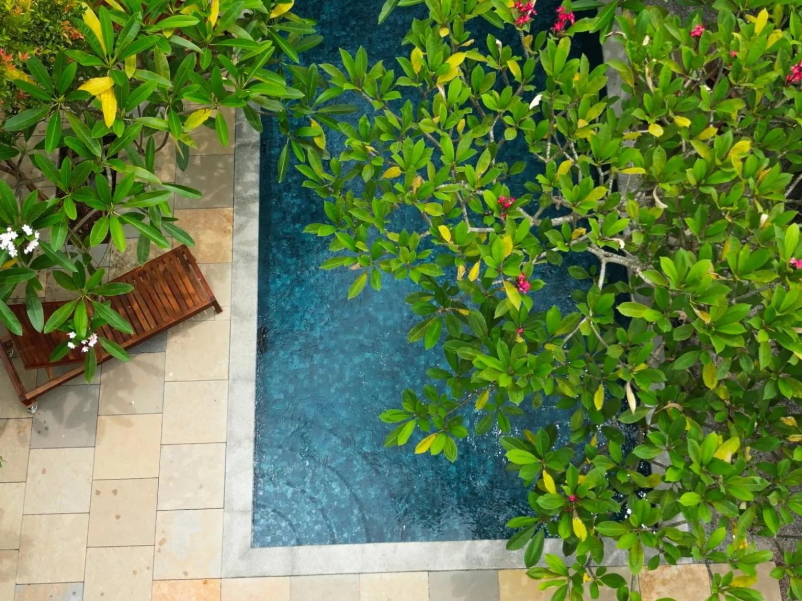 Swimming pool in Villa Akasa