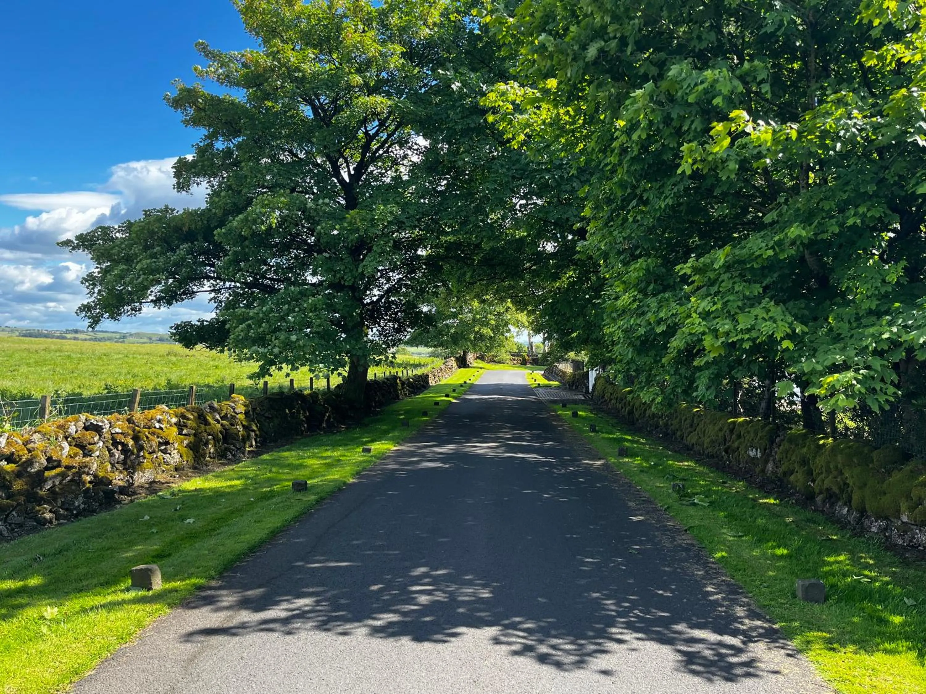 Property logo or sign in Whitehouse