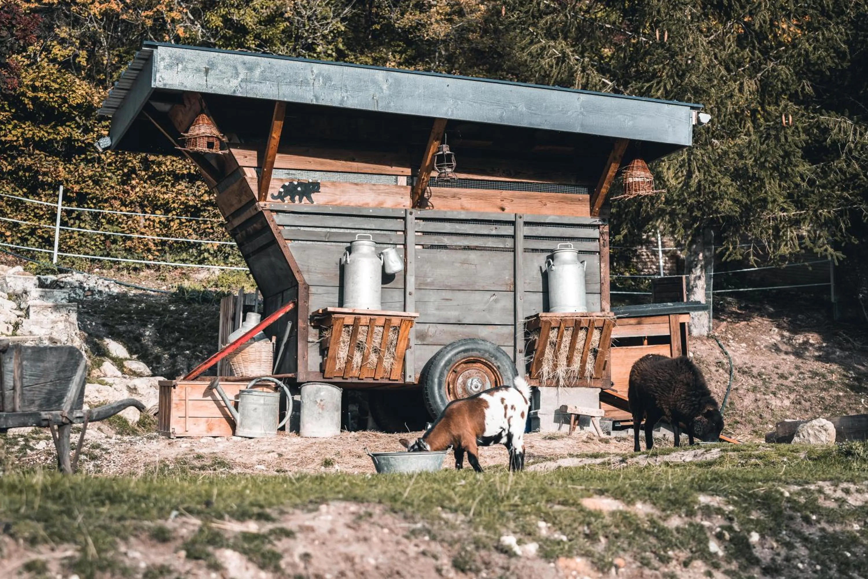 La Maison au bord du Lac
