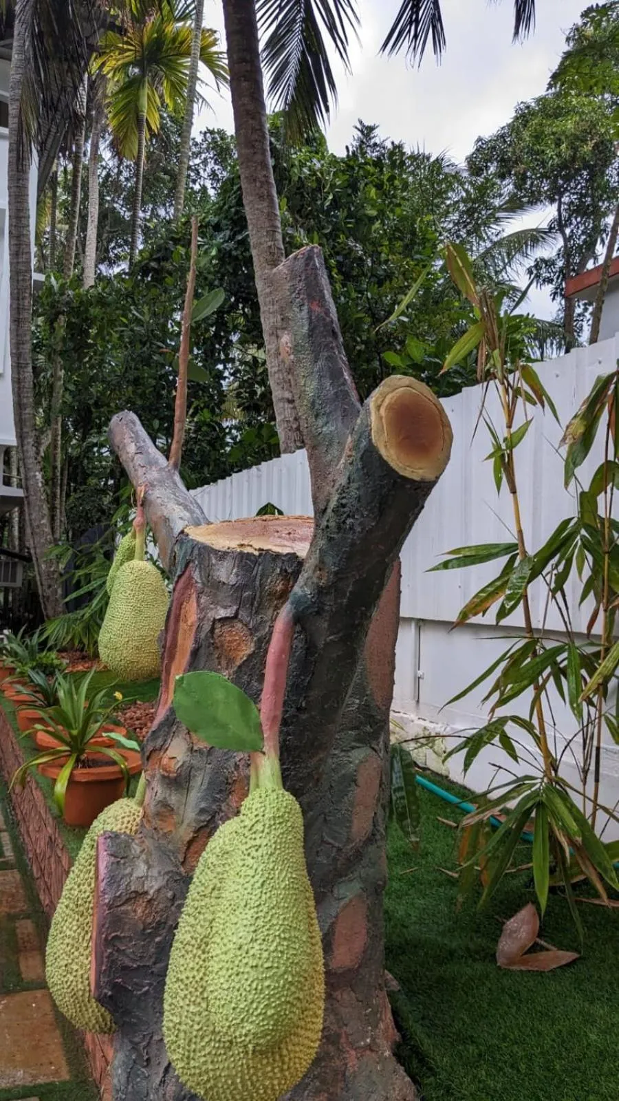 Garden view in Lake Palace Family Resort Kumarakom