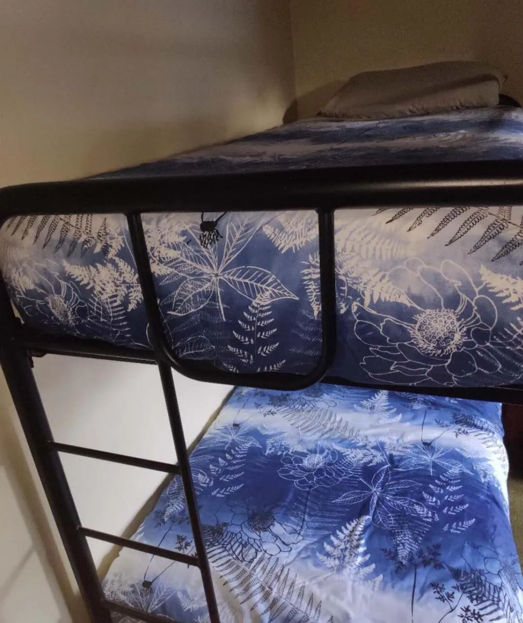 bunk bed, Bed in Big Tree Lodge Methven