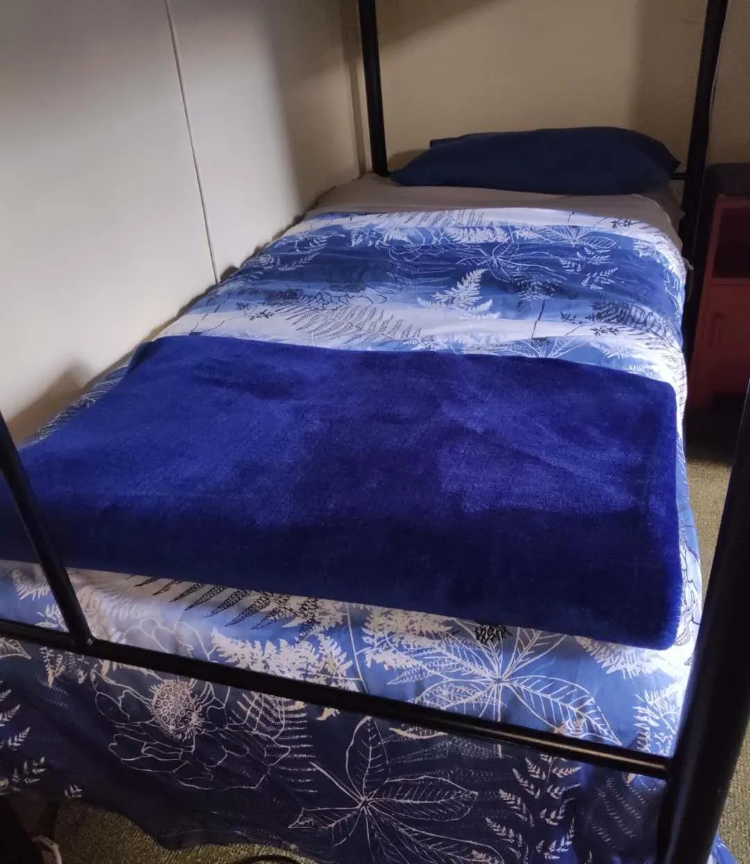 bunk bed, Bed in Big Tree Lodge Methven