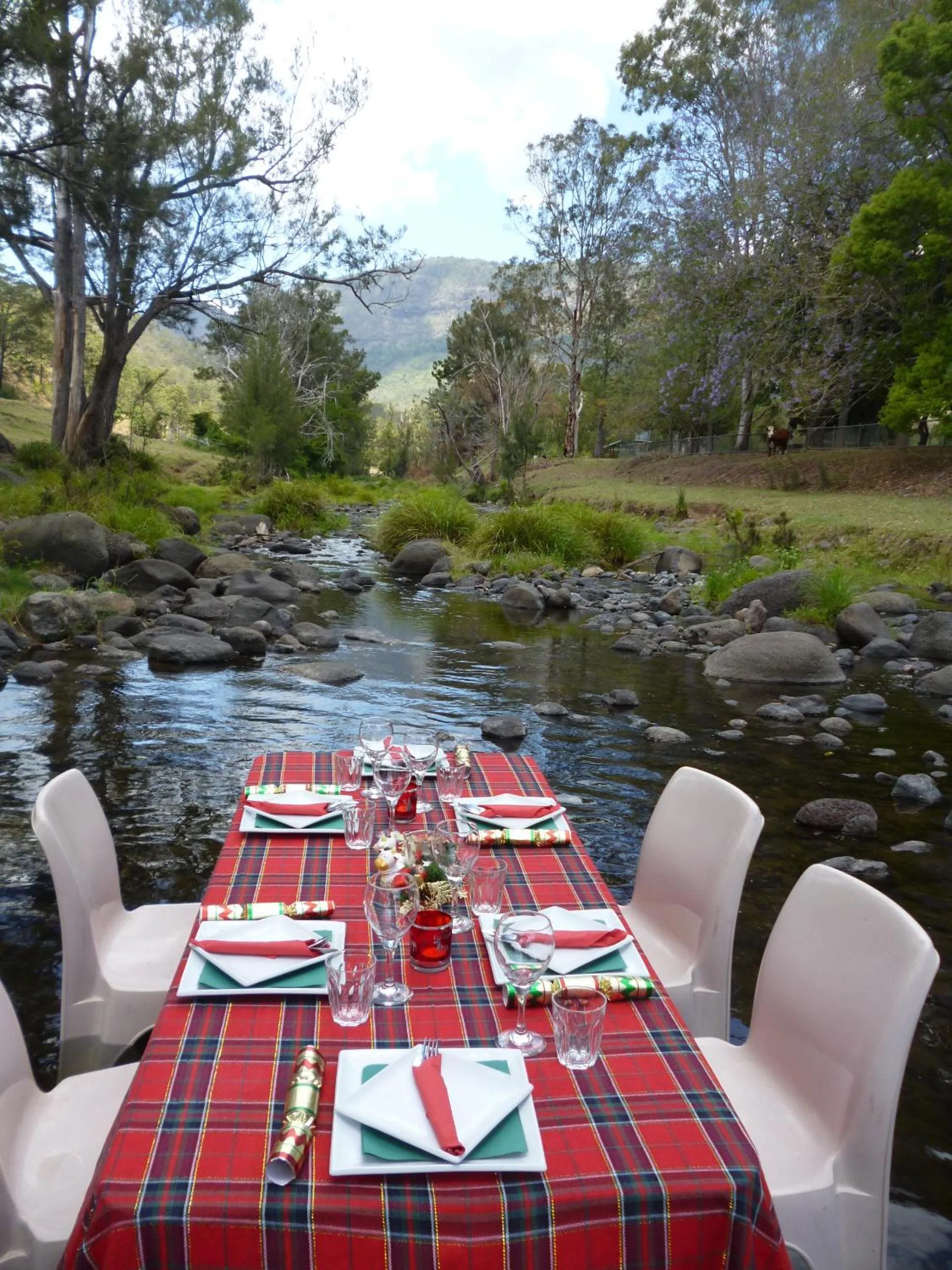 Summer in Christmas Creek Café & Cabins