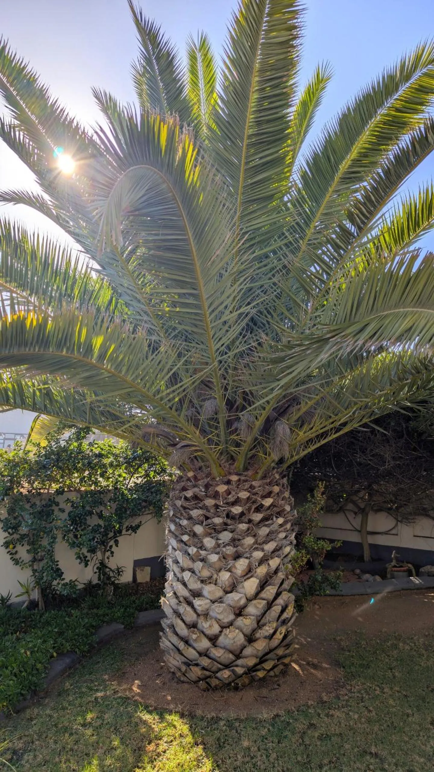 Garden in Amarachi Guesthouse