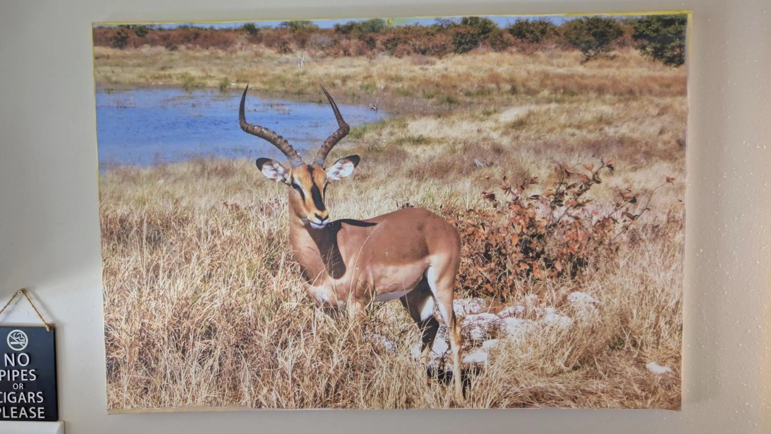 Decorative detail in Amarachi Guesthouse