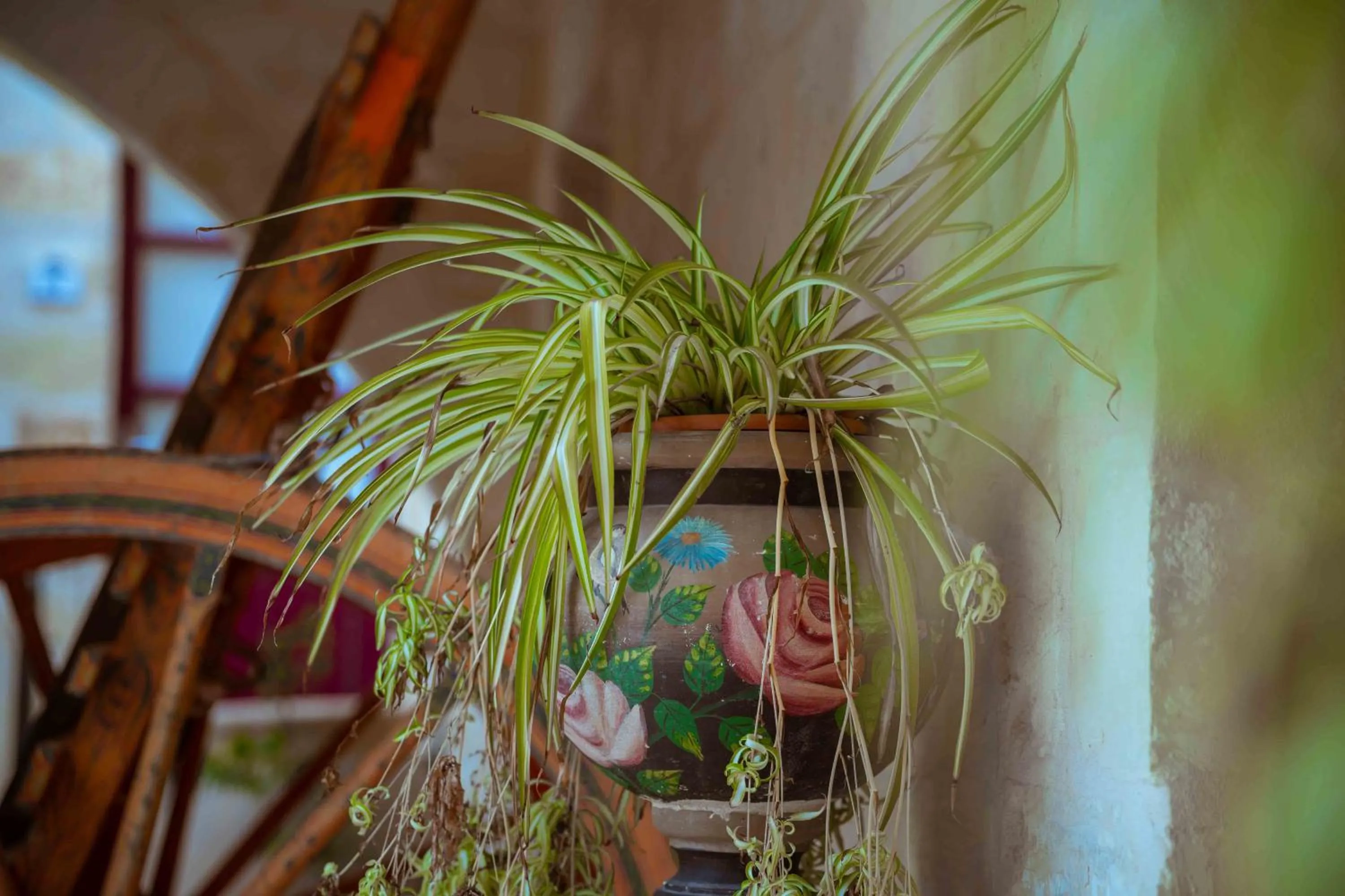 Property building in Mulberries