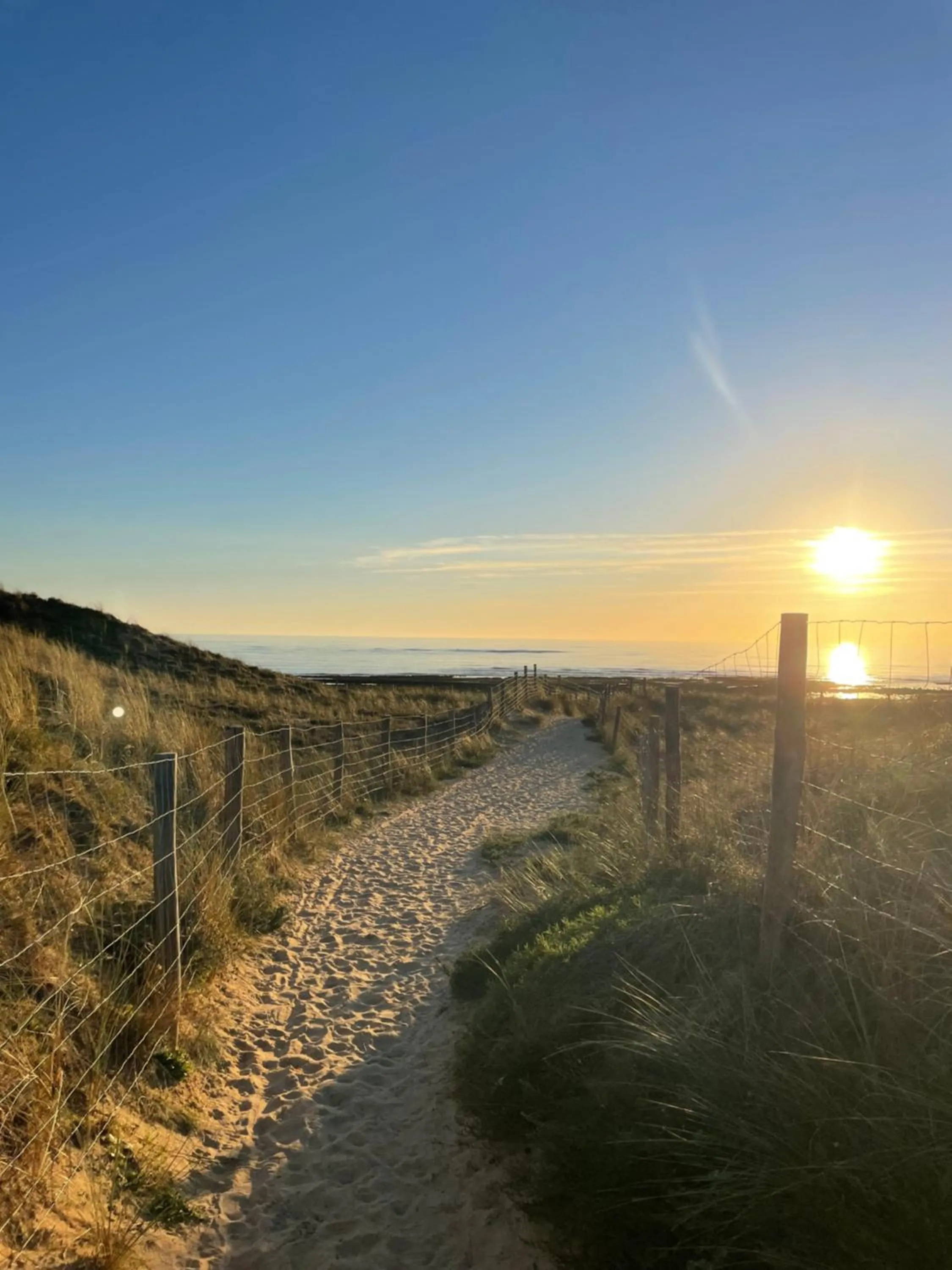 Beach in Olydea Oleron les Sables Vignier