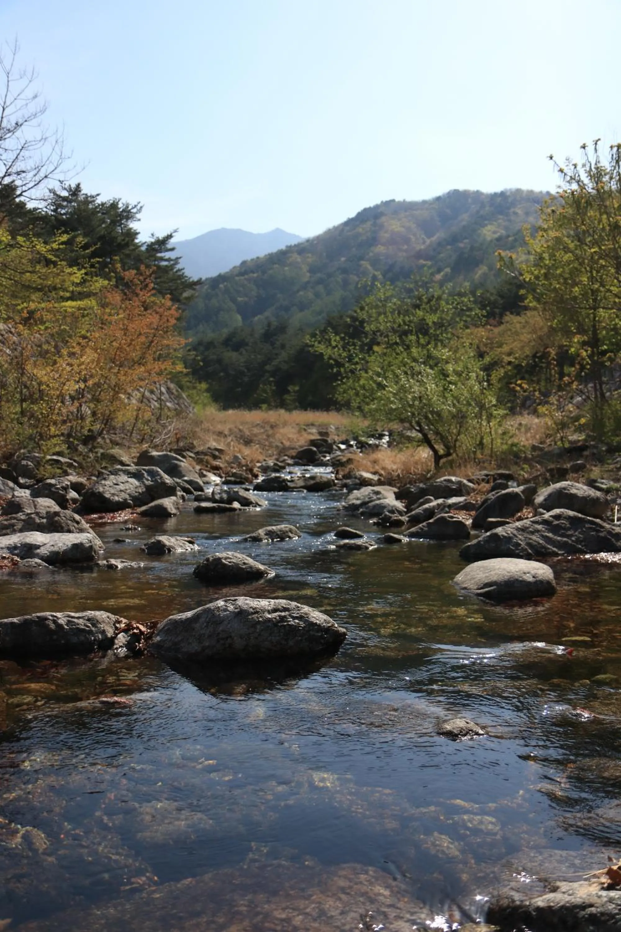 Natural landscape in Smile Resort