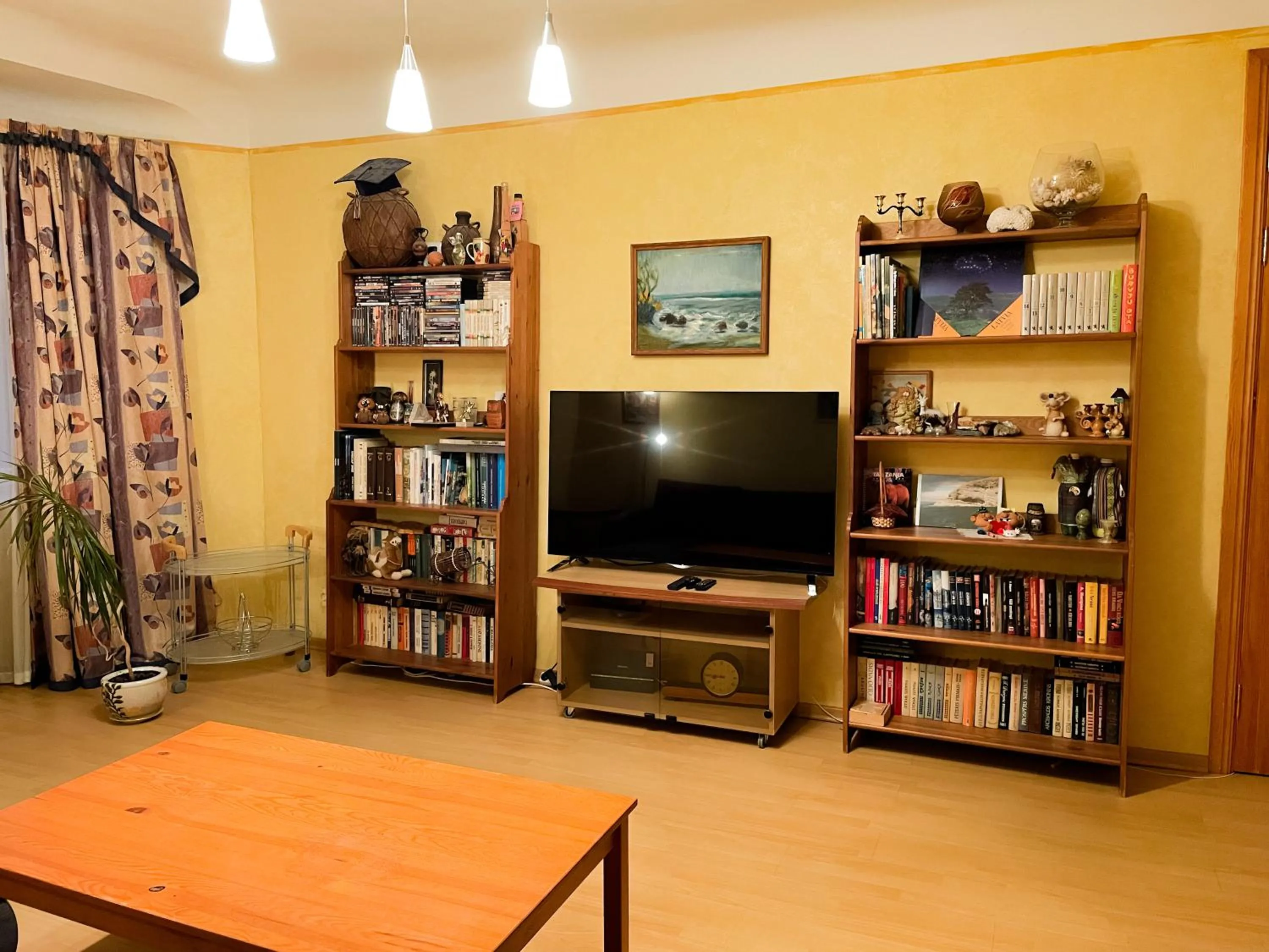 TV and multimedia in Terbatas Apartment