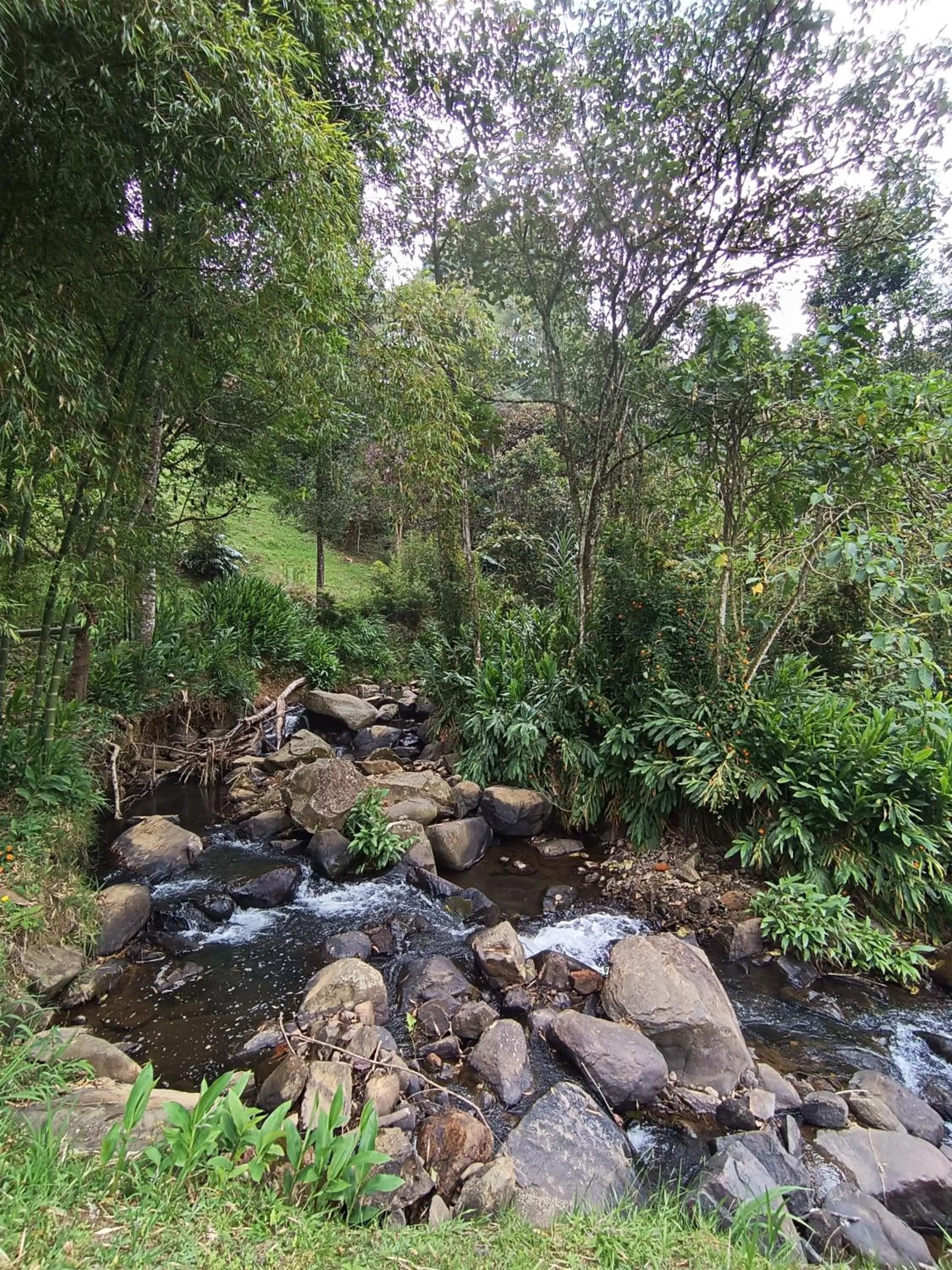 Day in BioHotel Ecohouse