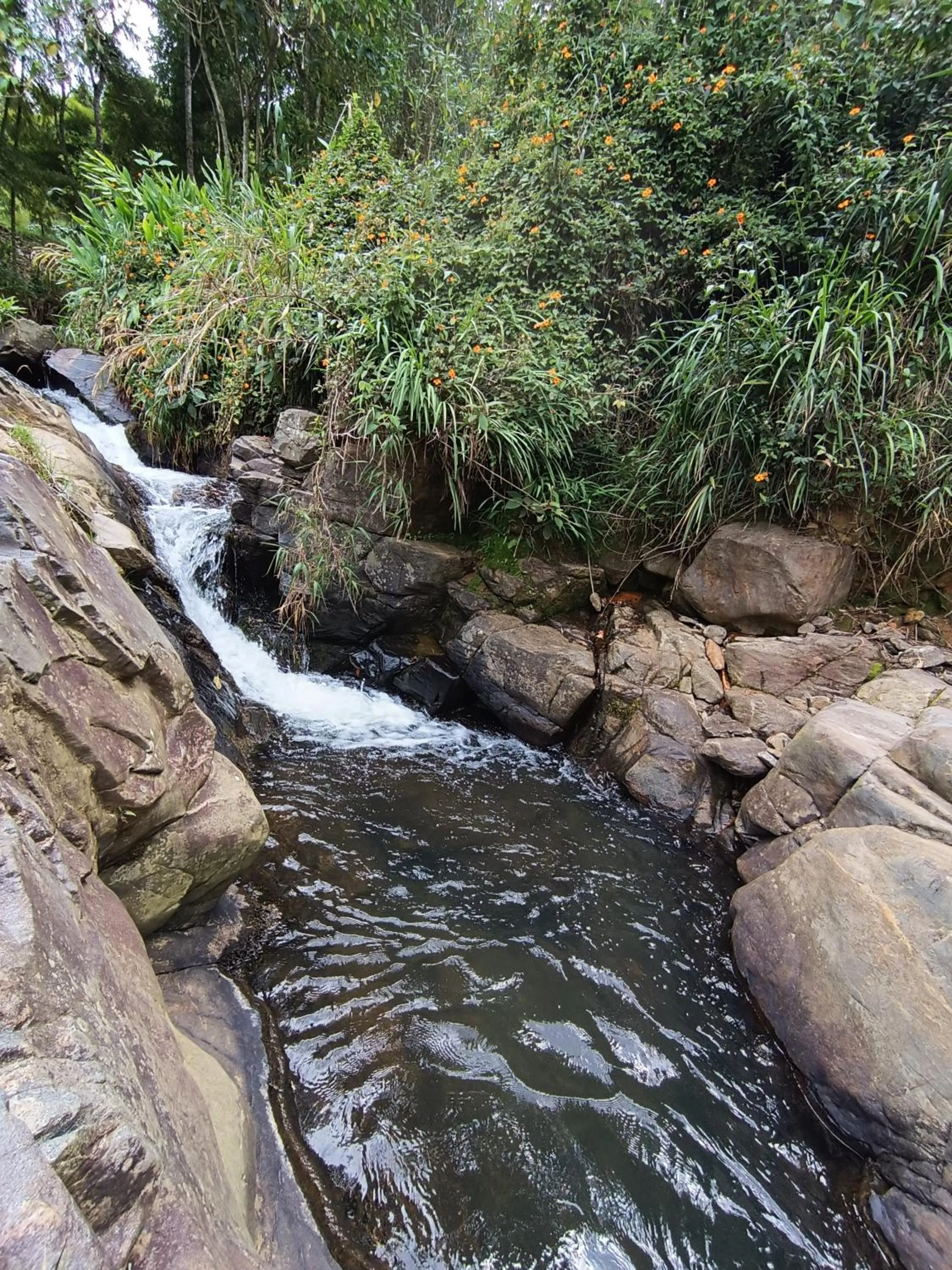 Day in BioHotel Ecohouse