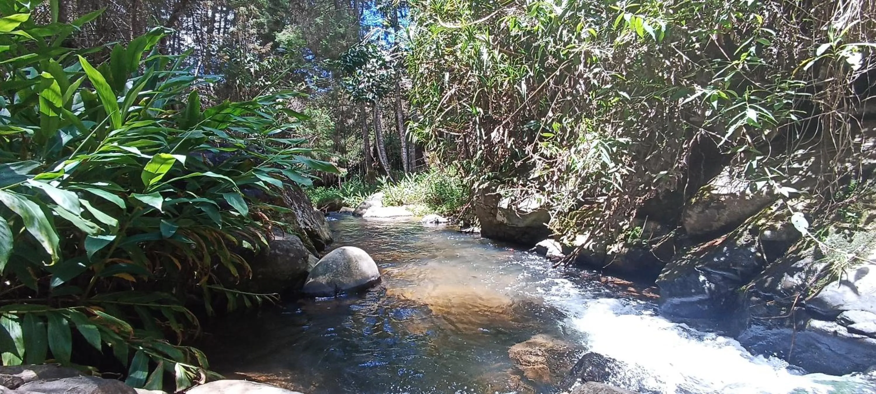 Swimming pool in BioHotel Ecohouse
